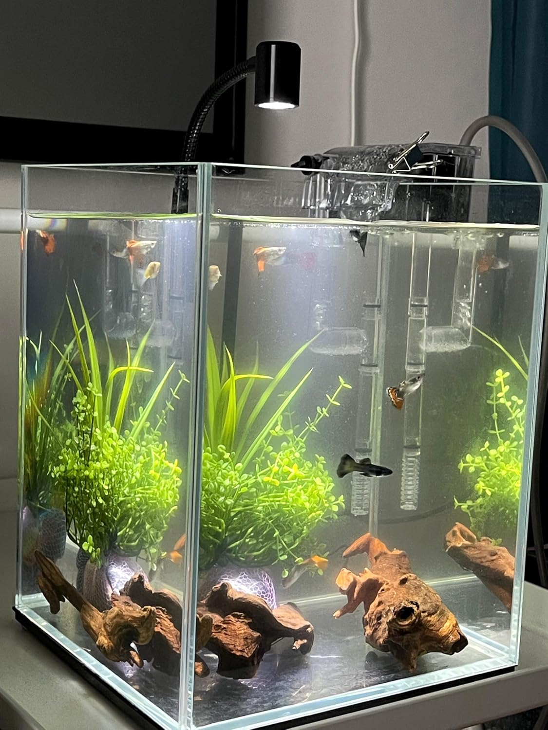 Small Natural Driftwood for Aquarium Styling Carefully Selected Natural Aquarium Decor Driftwood for Reptile Tank Reptile Tank Wood Decor (Driftwood 4-6inch 4pcs)