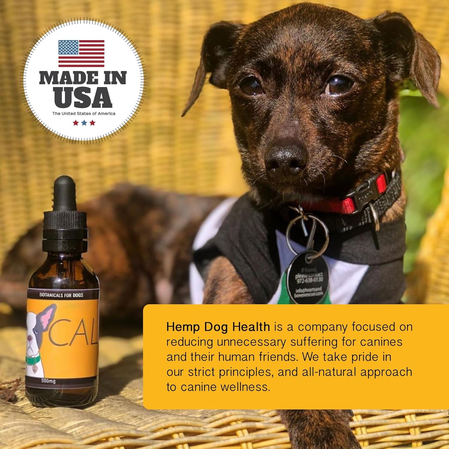 Calm - Pet Hemp Oil for Dogs - Pet Stress Relief & Relaxation - Fireworks, Thunder, Travel, & Separation Support - Natural Dog Calming Drops