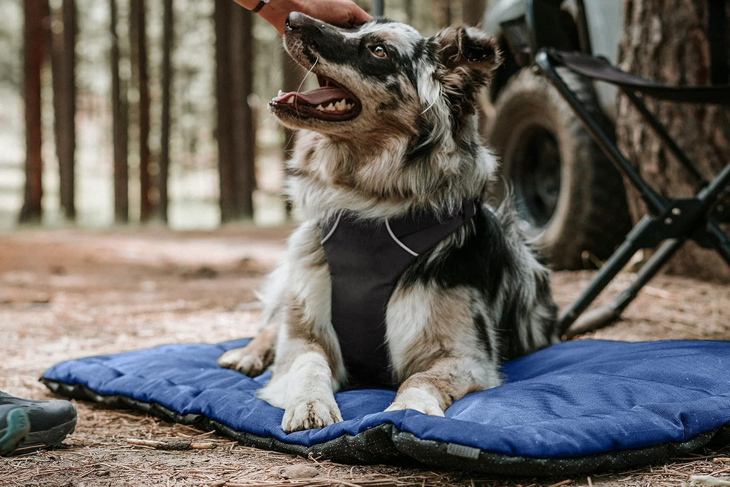 K9 Ballistics Tough Ripstop Dog Crate Pad - Durable & Machine Washable with Non-Skid Bottom and 120-Day Warranty, Fits 54" Wire Crates - XX-Large, Light Gray Velvet