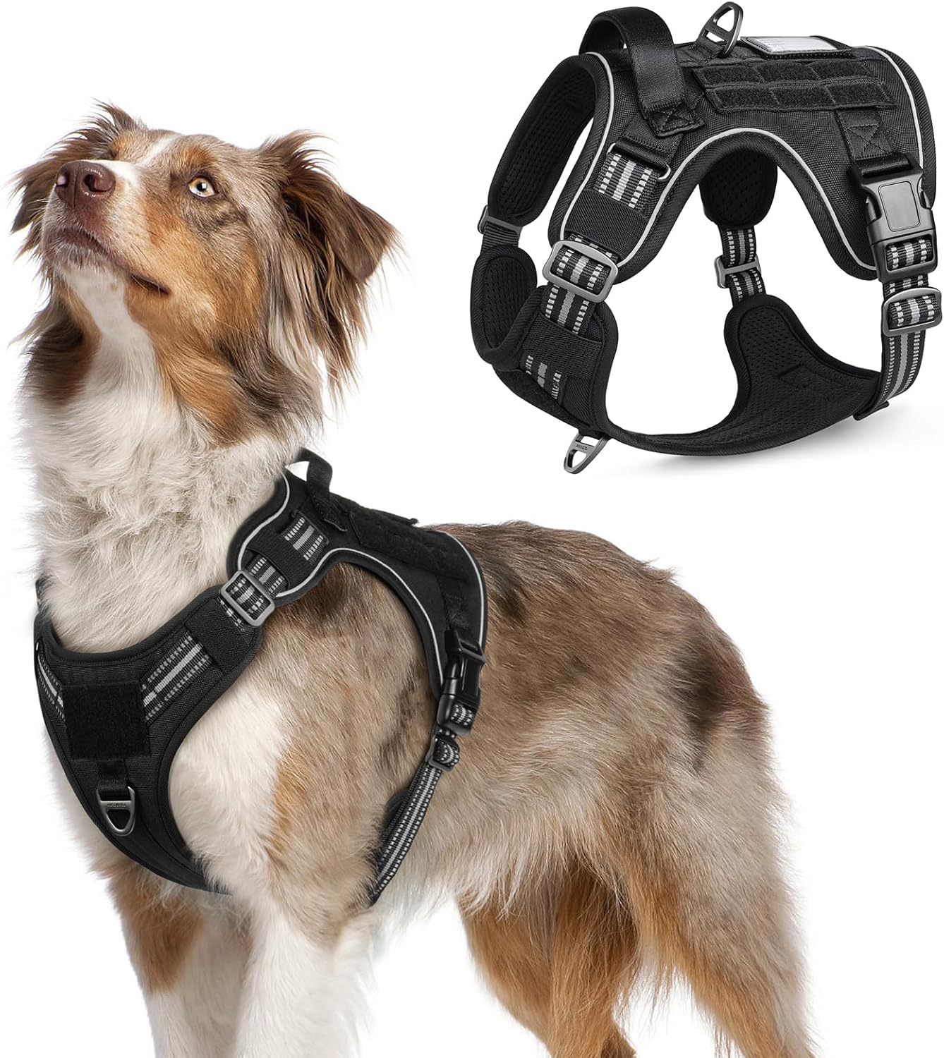 rabbitgoo Dog Harness No Pull, Military Dog Harness Medium Sized Dog with Handle & Molle, Easy Control Service Dog Vest Harness Training Walking, Adjustable Reflective Tactical Pet Harness, Black, M