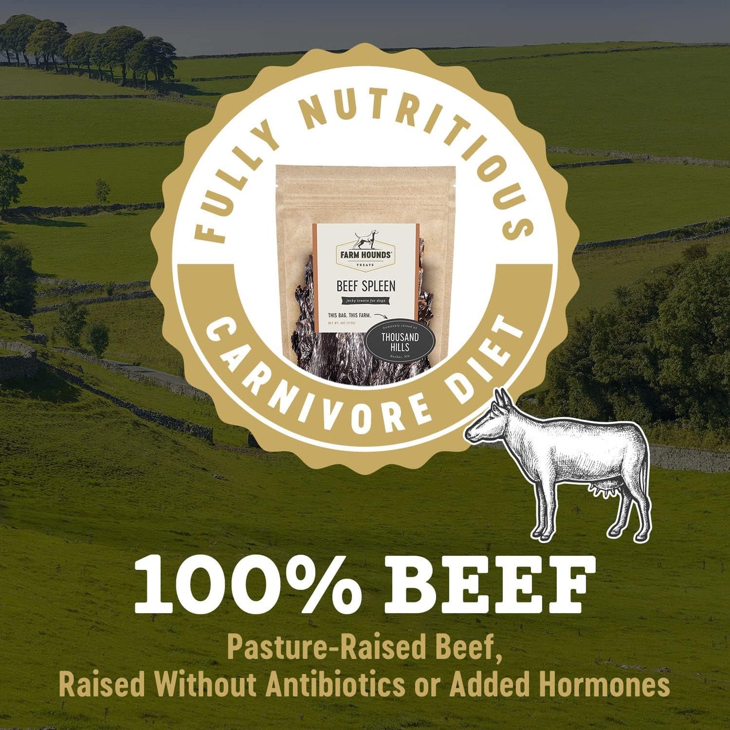 Farm Hounds - Beef Spleen - Premium Natural Beef Spleen Jerky For Dogs - Made From 100% Humanely Raised Cattle - Organ Treat - Great For Training & Treats - No Added Fillers - Made in USA -4oz -2 Pack