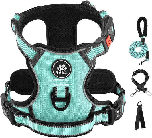 IVY&LANE No Pull Dog Harness with Leash Set, Reflective No Choke Pet Vest,Adjustable Oxford Dog Vest Harness with Easy Control Handle for Medium Dogs (Turquoise,M)