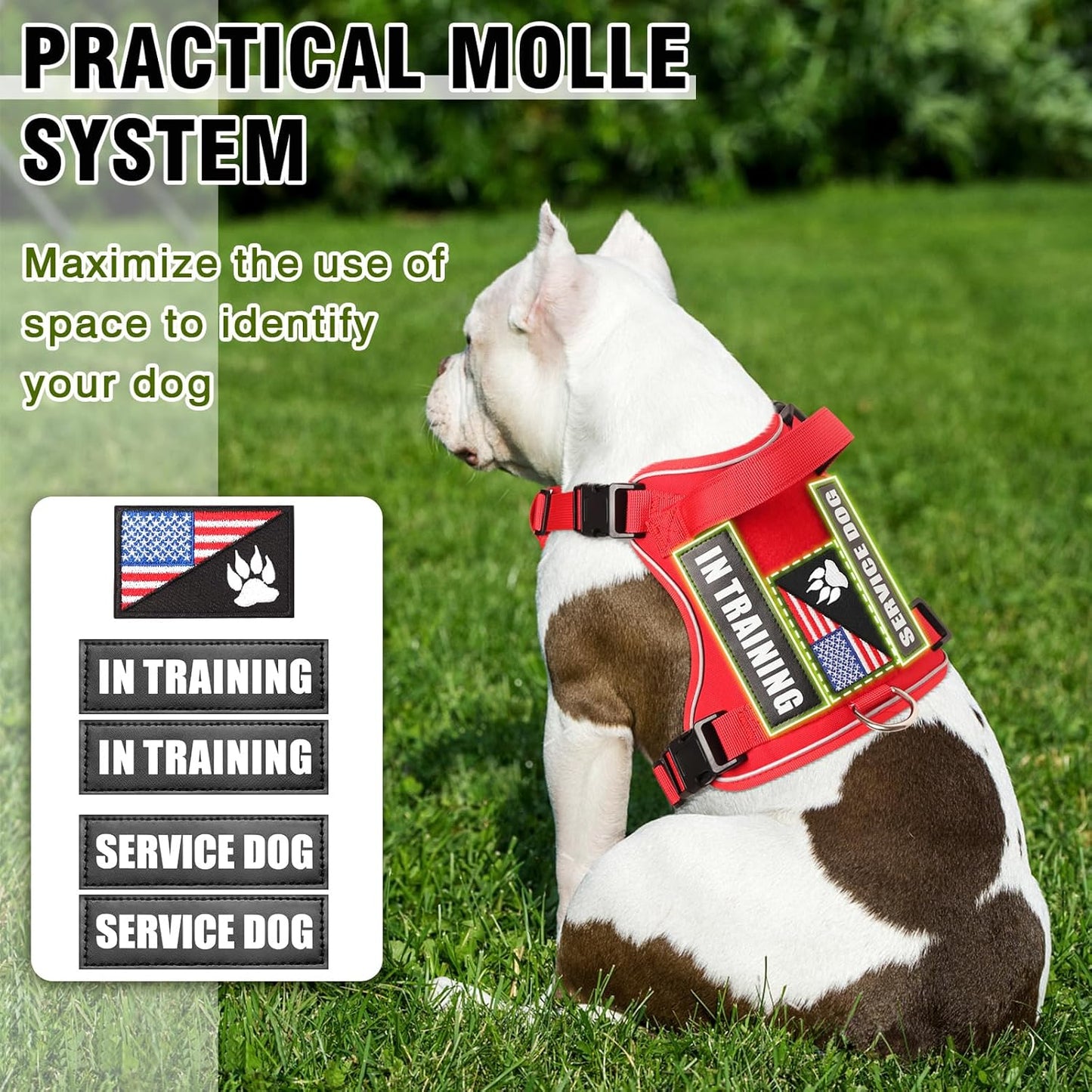 WINSEE Service Dog in Training Harness with 5 PCS Patches, Reflective Tactical Dog Vest Harness, Adjustable Soft Oxford Pet Harness with Easy Control Handle, Hook & Loop Panels for Walking Hiking