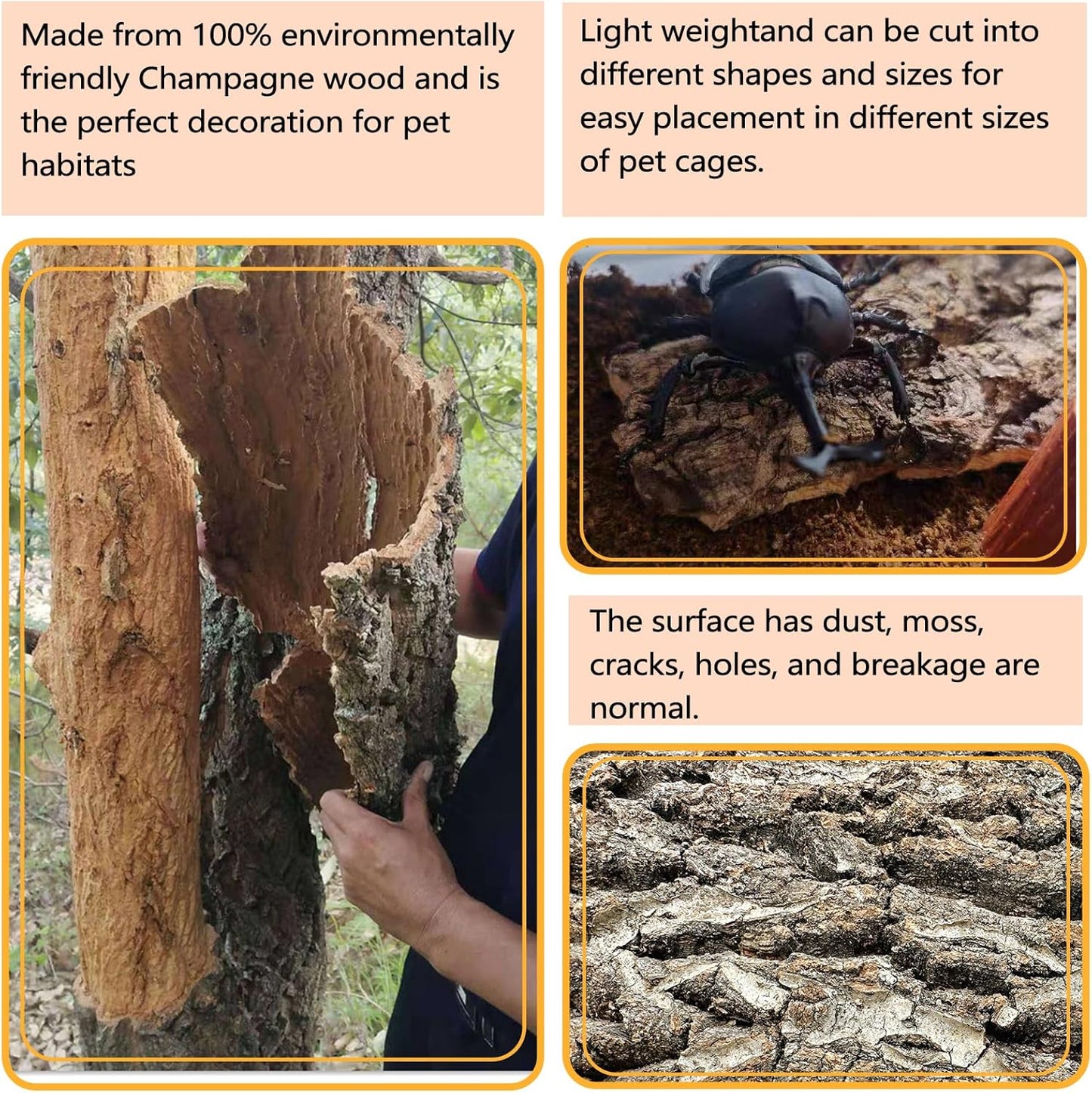 BNOSDM 4pcs Reptile Cork Bark Terrarium Background Bearded Dragon Tank Decor for Lizard Bearded Dragon Frog Leopard Gecko Tortoise Snake Chameleon