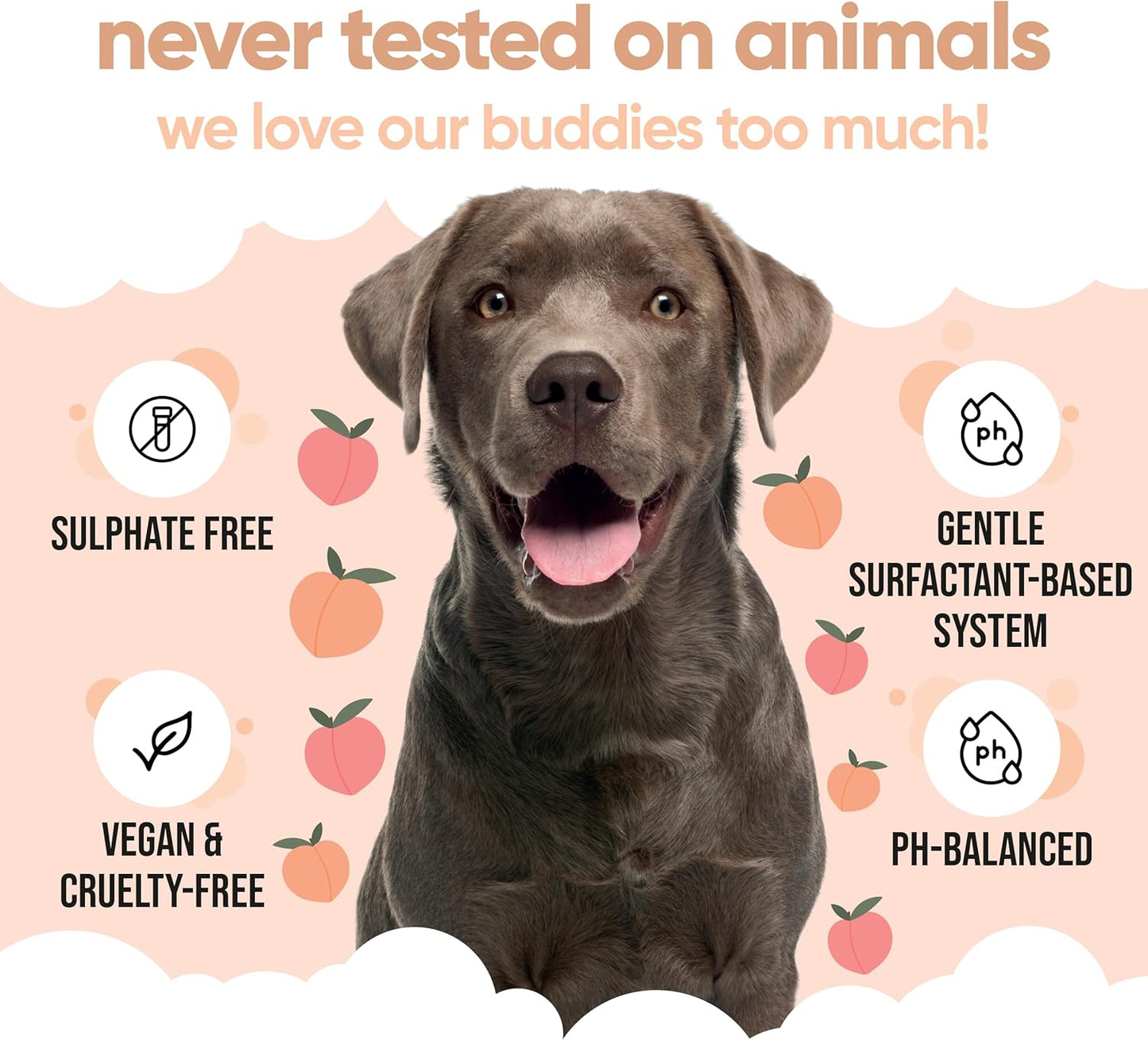 Curly Coat Dog Shampoo by Buddycare | with Aloe Vera and Pro Vitamin B5 (50.72oz)