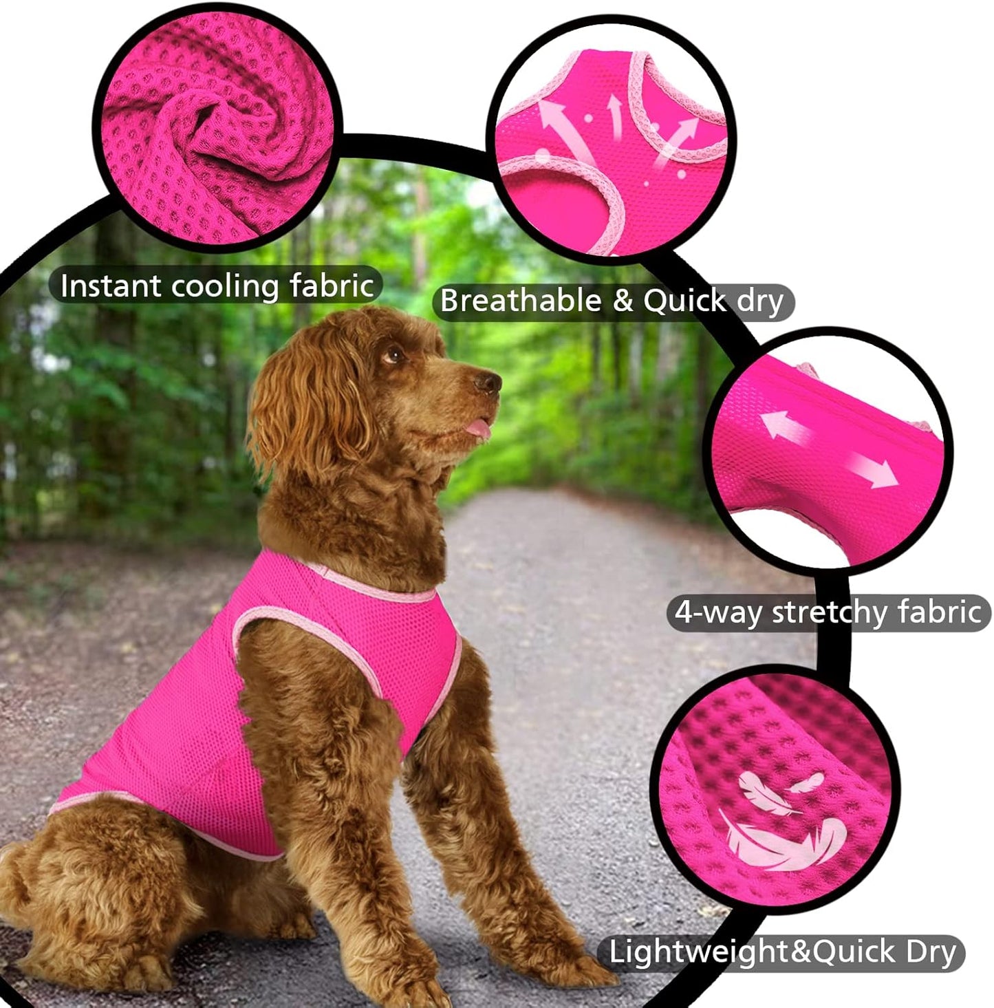 2 Pack Cooling Shirts for Dogs, Breathable Lightweight Dog Shirts for Small Dogs Girl, Sleeveless Sun Protection Shirt for Dog&Cat Puppy Vest Pet Apparel P23ST00601M