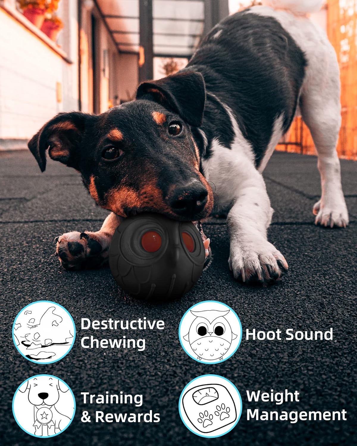 Giggle Ball for Dogs Owl Dog Toys for Aggressive Chewers Gift for Dog Natural Rubber Ball Cute Owl Hoot Medium Large Dog (Demon)