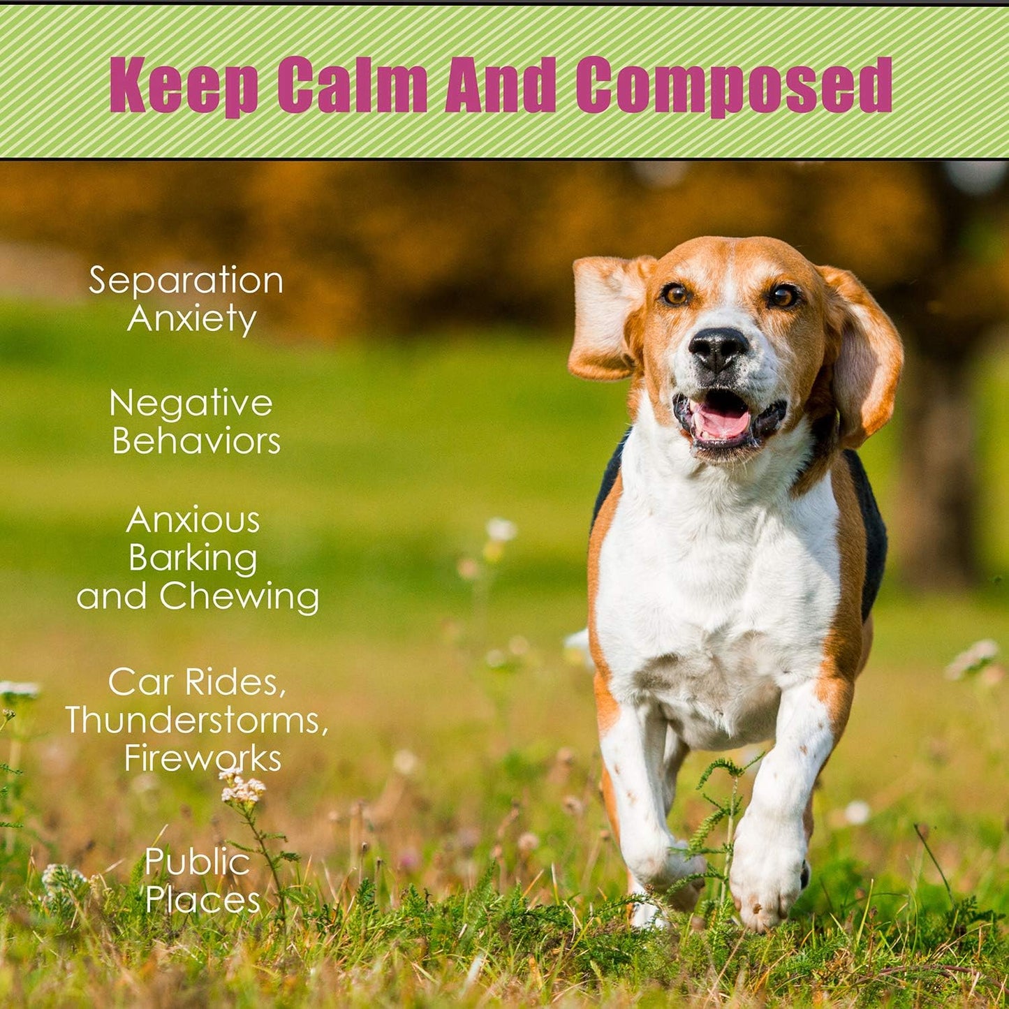 Hearbeat Toy for Dog Anxiety Relief Behavioral Training Aid Toy, Grey