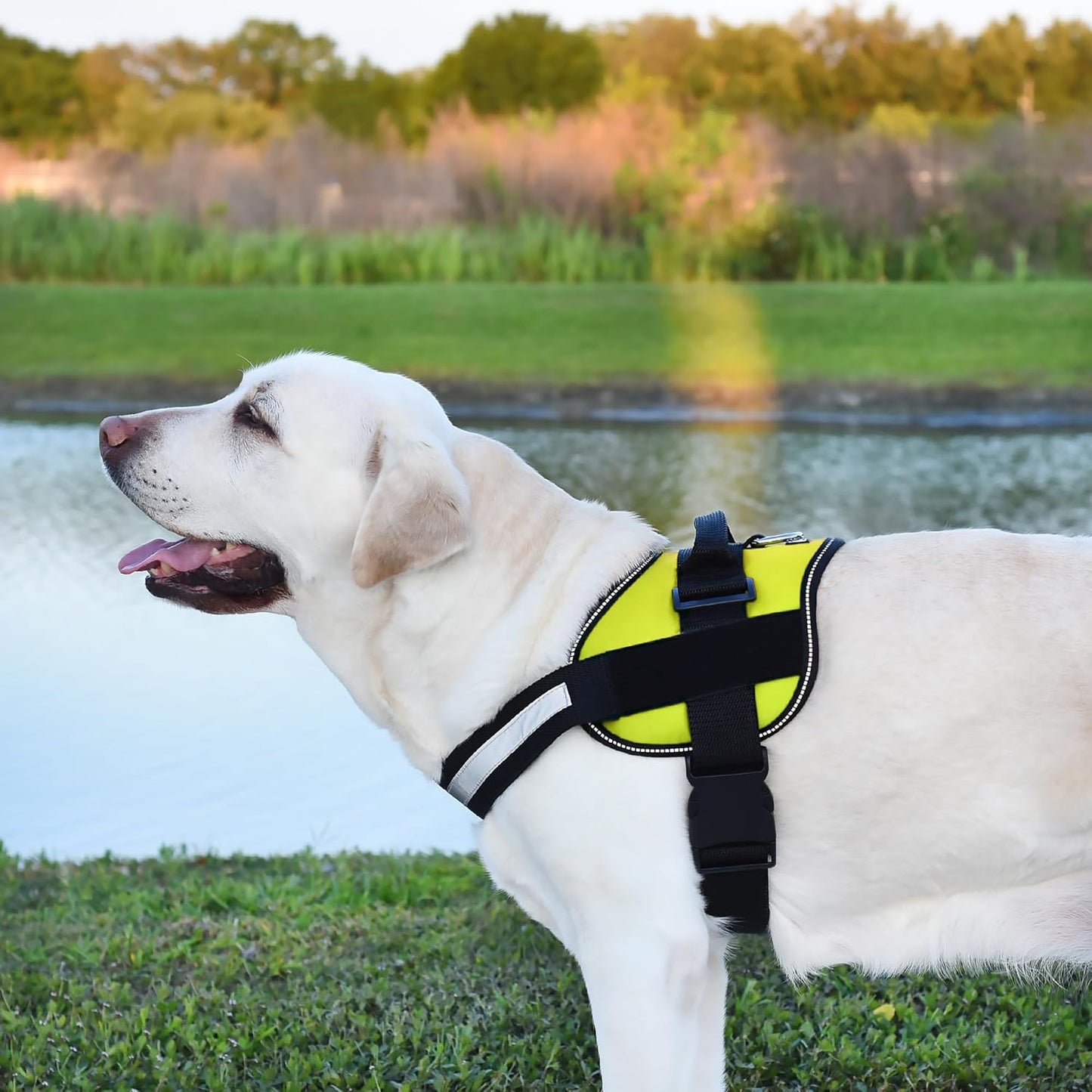 Dogline Dog Harness, Reflective No-Pull Adjustable Vest with Handle, Breathable No-Choke Harness for Small, Medium or Large Dogs Room for Patches Girth 15 to 18 in Lime Green