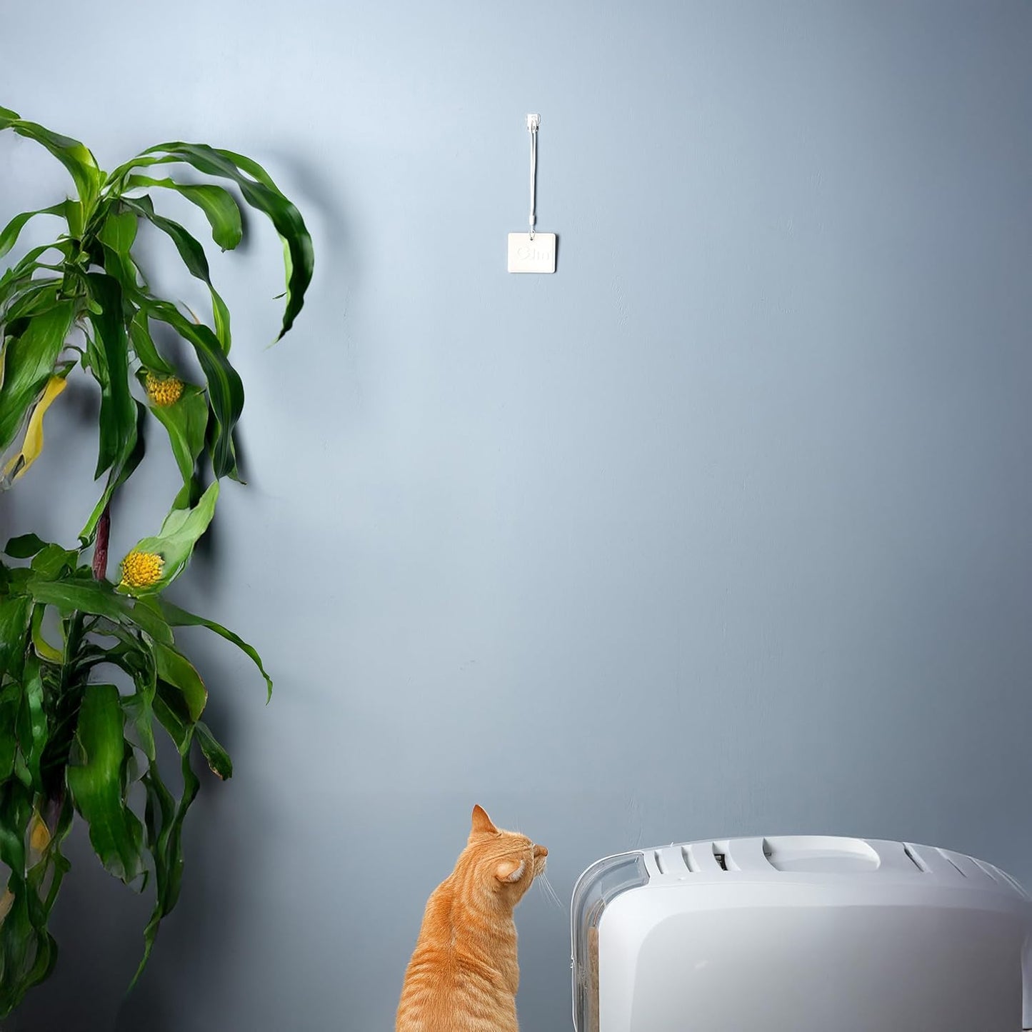 Odin Litter Box Odor Eliminator – Neutralizes Smells at the Source with Patented Tech – Light Citrus Scent – Safe, Long-Lasting, Works with Any Litter