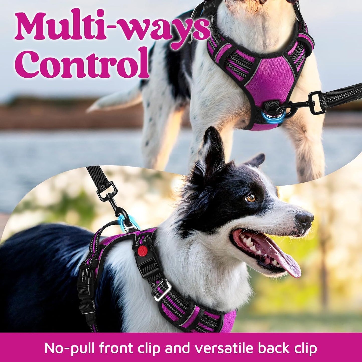 rabbitgoo Dog Harness Small Sized, No Pull Dog Vest with 3 Buckles, Adjustable Soft Padded Pet Harness with Easy Control Handle and Reflective Strips, Purple, S