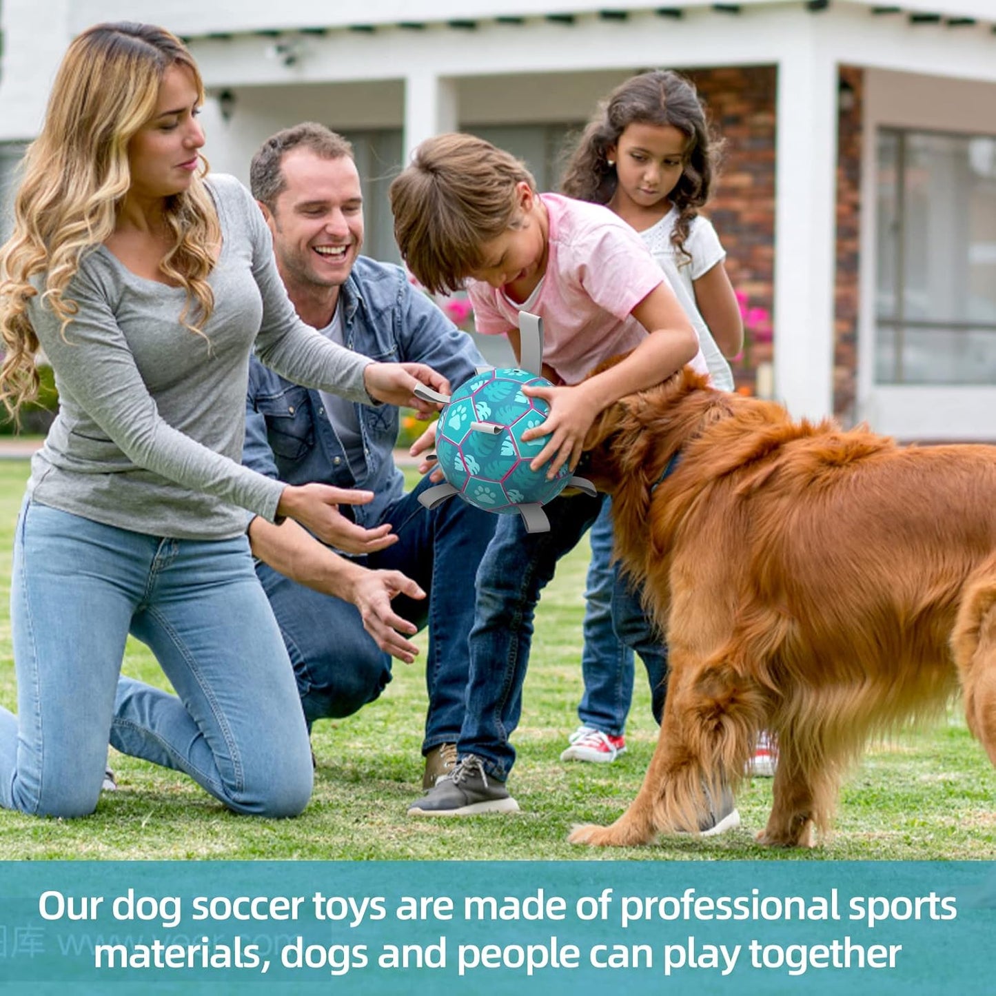 QDAN Dog Toys Soccer Ball, Tug of War Toy, Puppy Birthday Gifts, Water Toy, Durable Dog Balls for Medium Large Dogs, Lake Blue(8 inch)