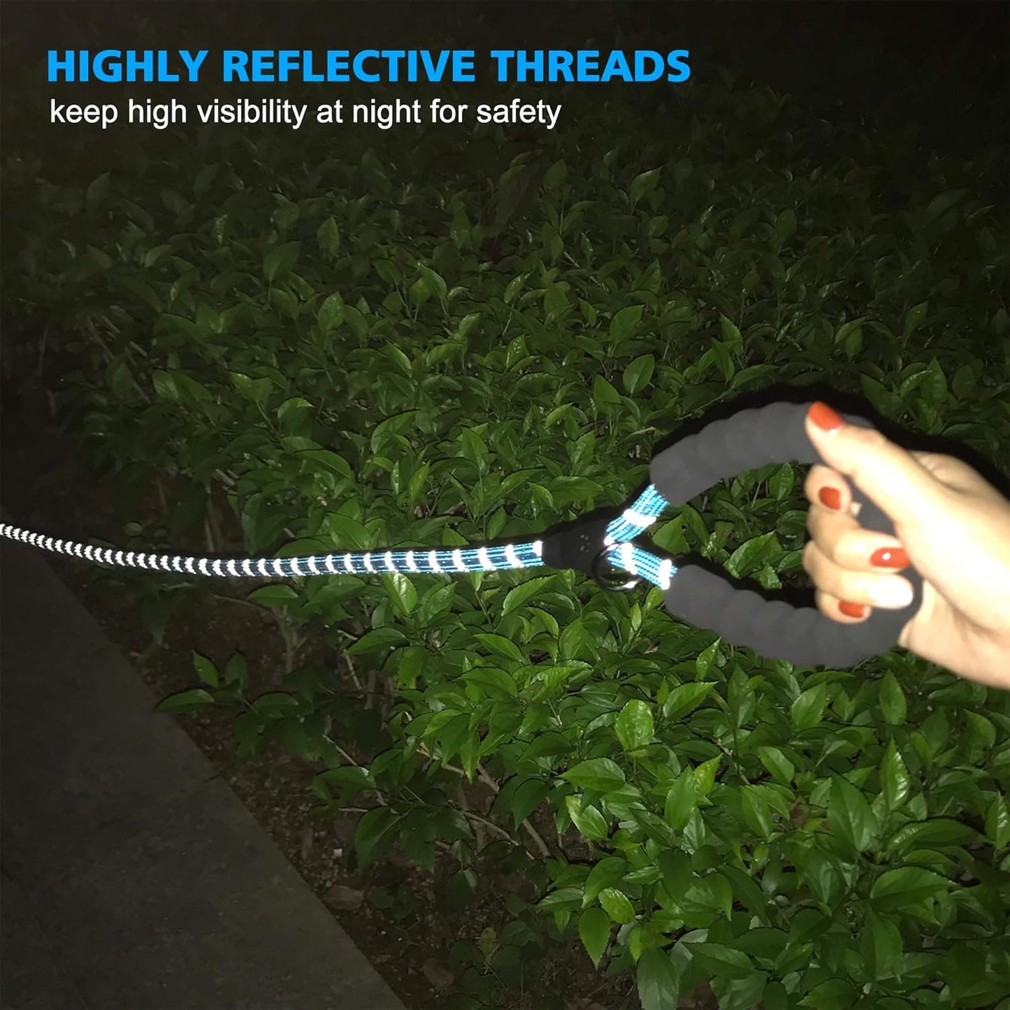 Heavy Duty Dog Leash - Comfortable Padded Handle, 5 ft Long - Dog Leashes for Small Medium Large Dogs (Leash+Collar M Neck 16"-20", Blue)