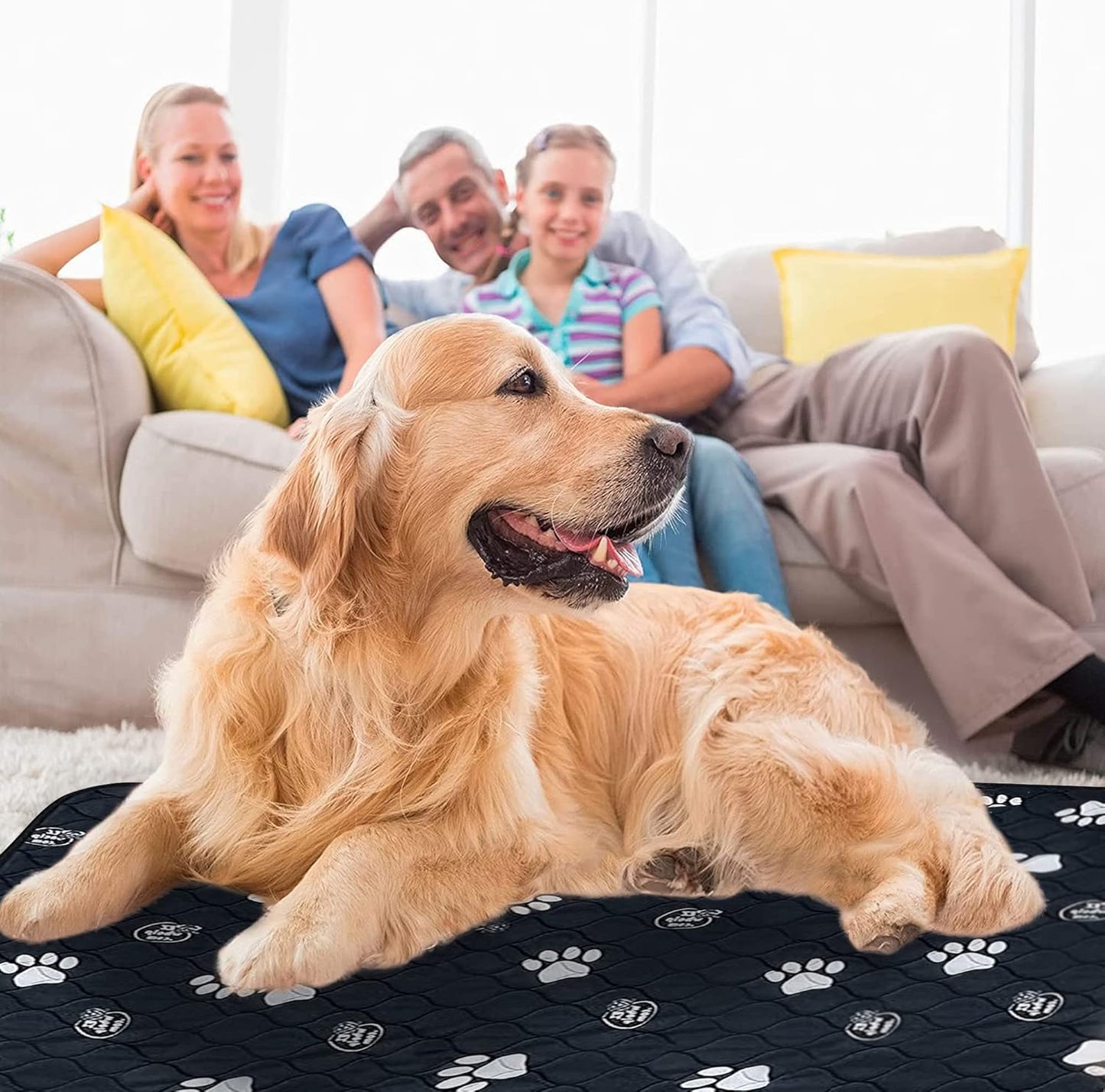 EZwhelp Reusable Dog Pee Pads, Washable Waterproof Mats for Dog Potty Training or Whelping Pads, 50x50 Inch, 2 Pack