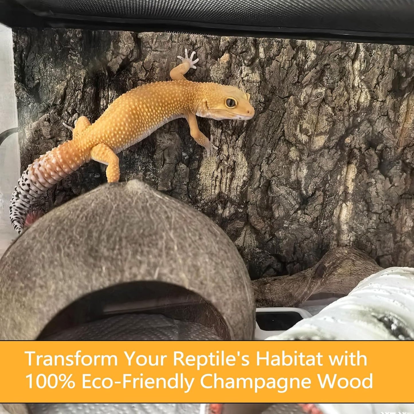 BNOSDM 4pcs Reptile Cork Bark Terrarium Background Bearded Dragon Tank Decor for Lizard Bearded Dragon Frog Leopard Gecko Tortoise Snake Chameleon