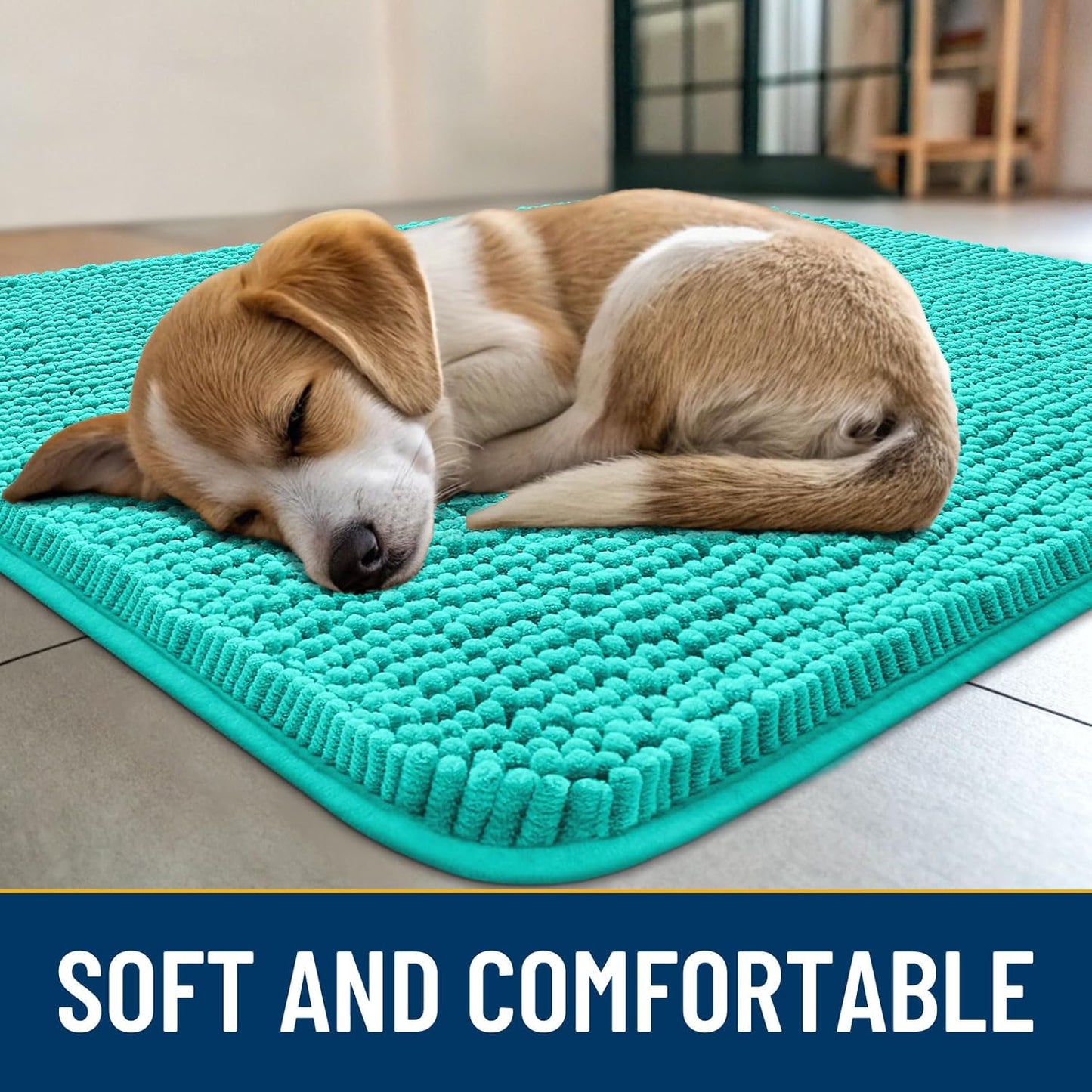 Smiry Dog Door Mat for Muddy Paws 24x16, Absorbs Moisture and Dirt Doormat, Non-Slip Washable Quick Dry Chenille Front Door Mat Indoor Entrance, Entryway Carpet for Inside Floor, Teal