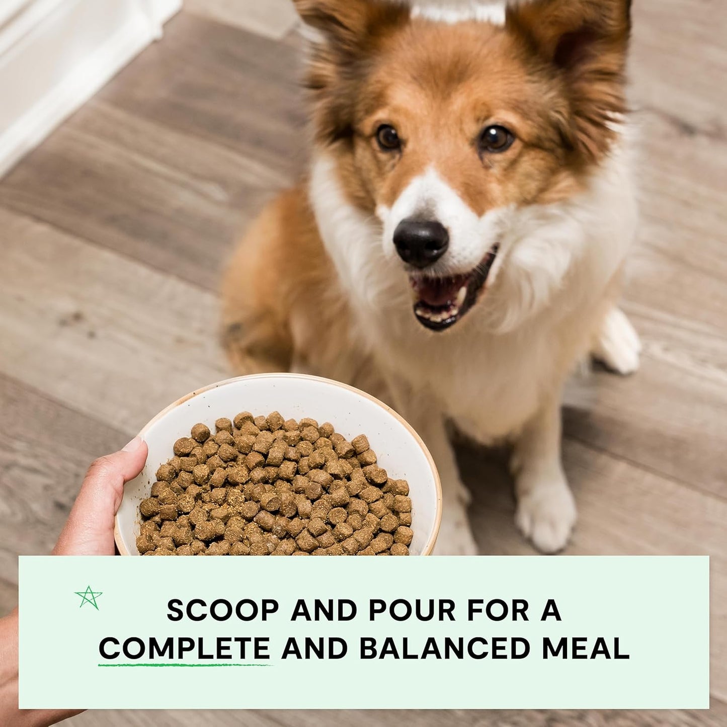 Open Farm, Grain-Free Dry Dog Food, Complete & Balanced Kibble, Sustainably & Ethically Sourced Ingredients, Non-GMO Veggies & Superfoods to Support Overall Health, Wild-Caught Salmon Recipe, 11lb Bag