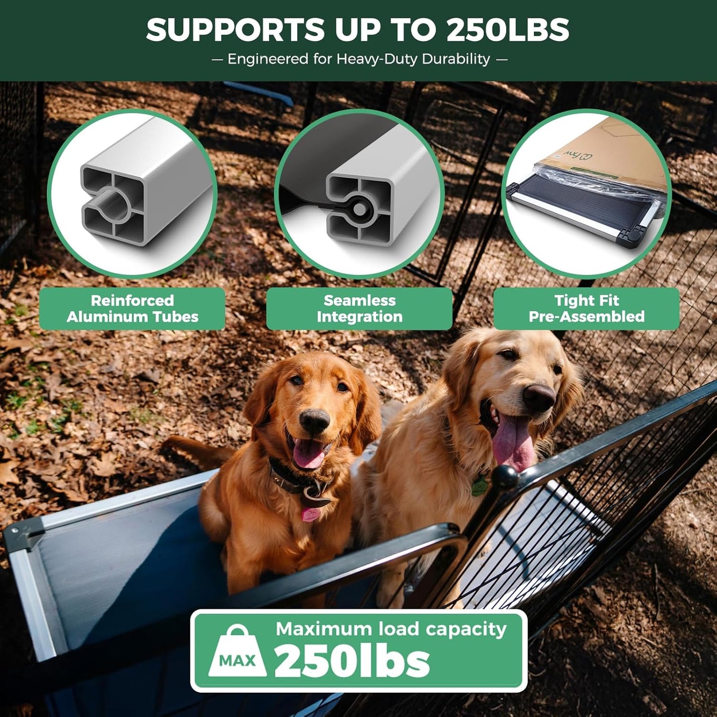 FXW TitanNest Chew-Proof Elevated Dog Bed, Raised Cot for Indoor/Outdoor/Camping Use, Durable & Washable Padded Pet Bed for Large Dogs, 50.0" L x 31.0" W x 7.3" H, Gray