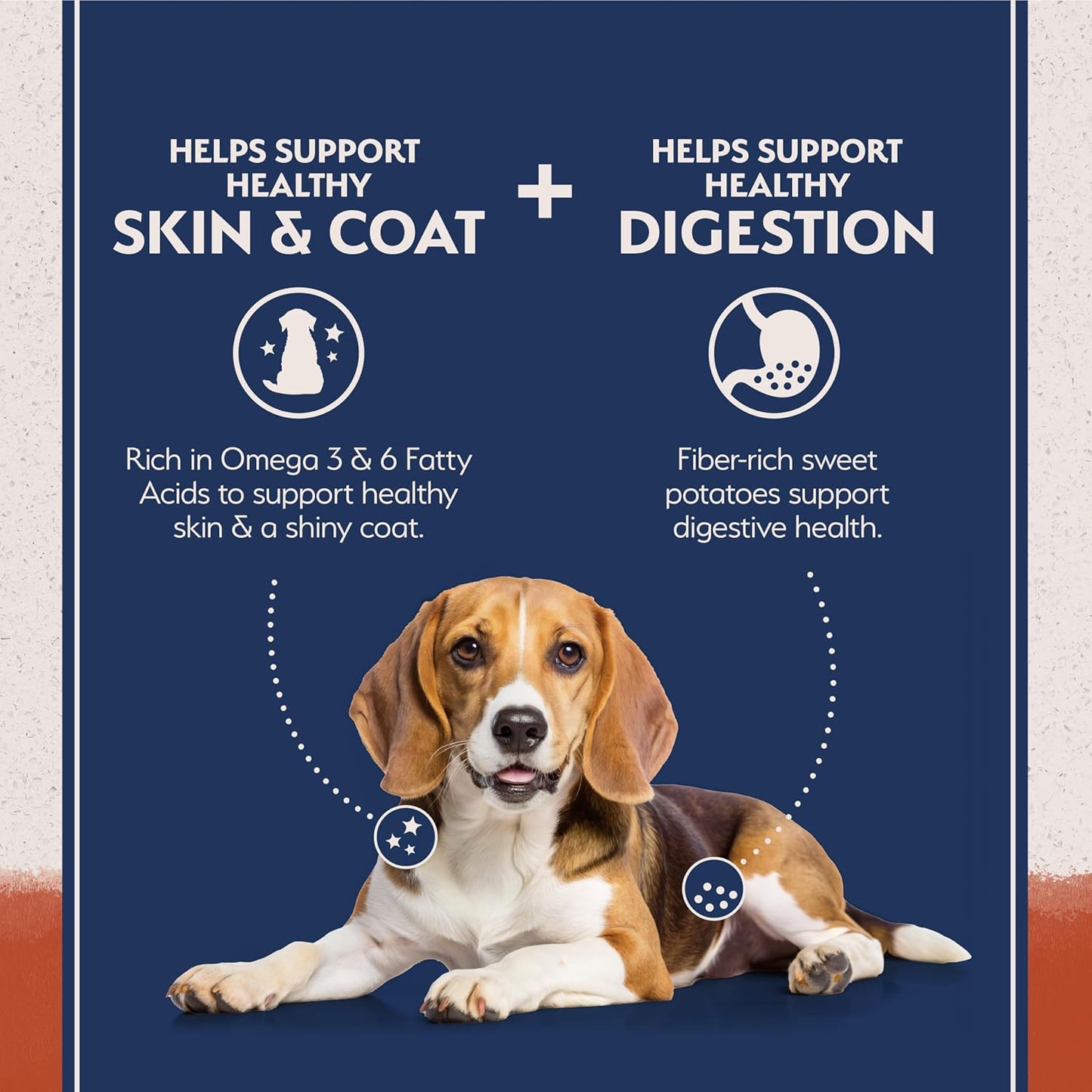 Natural Balance Limited Ingredient Grain Free Salmon & Sweet Potato Dry Dog Food, Sensitive Stomach, 12 lb (Pack of 1)