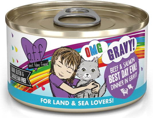 Weruva B.F.F. OMG - Best Feline Friend Oh My Gravy!, Best Day Eva! with Beef & Salmon in Gravy Cat Food, 2.8oz Can (Pack of 12)