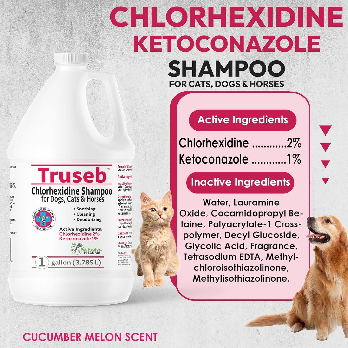 Truseb All Natural Topical Ketoconazole and Chlorhexidine Shampoo for Dogs, Cats & Horses with Aloe Vera Shampoo and Conditioner(Ketoconazole & Chlorhexidine Shampoo, 1 Gallon)