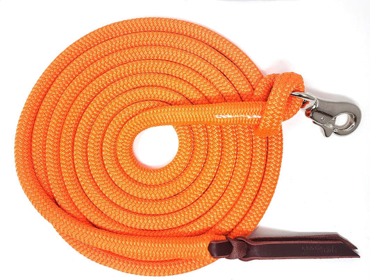 12FT Lead Rope with NP Snap
