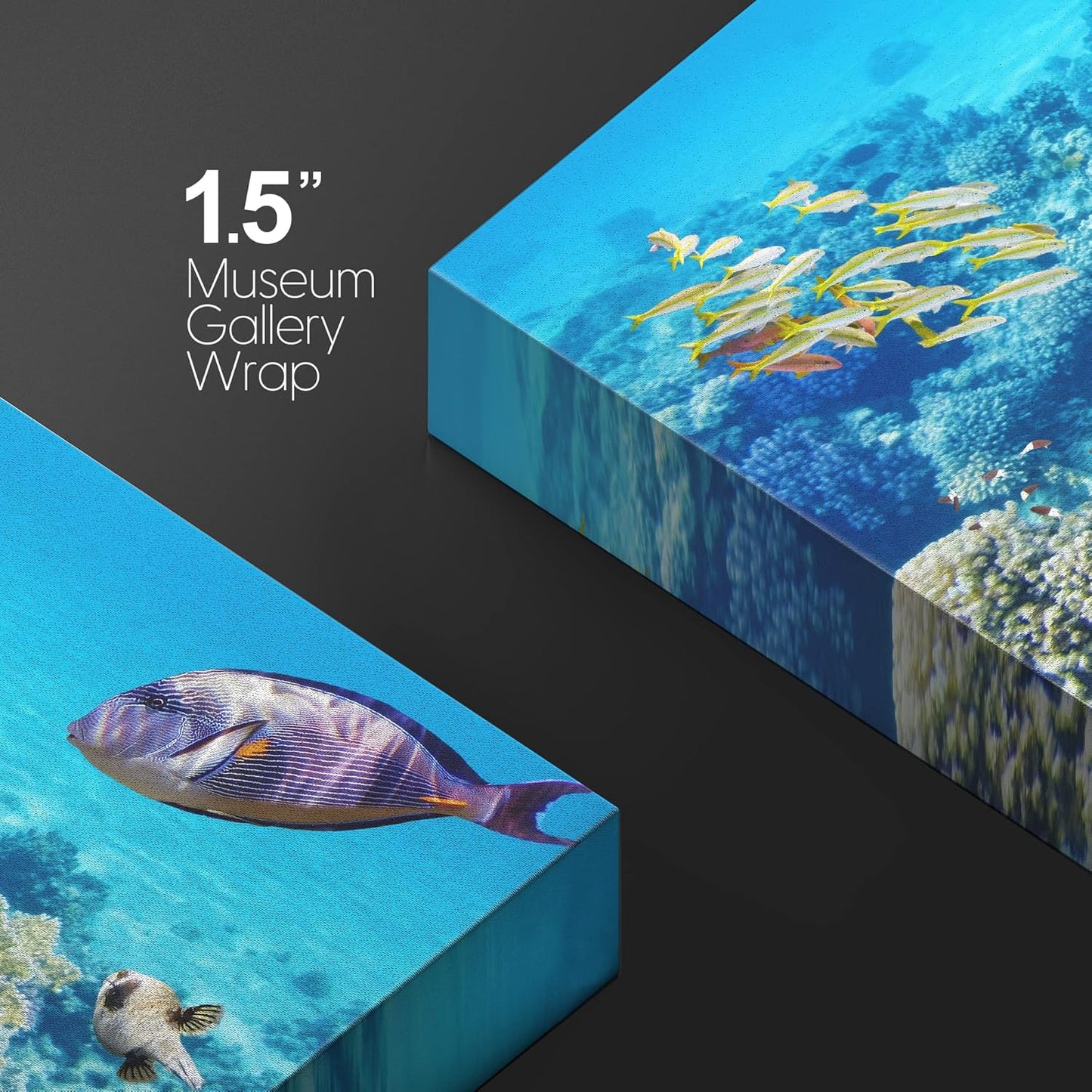 wall26 Canvas Print Wall Art Vibrant Teal Underwater Fish Coral Reef Nature Animals Photography Realism Rustic Scenic Landscape Wilderness Earth Colorful for Living Room, Bedroom, Office - 24"x36"