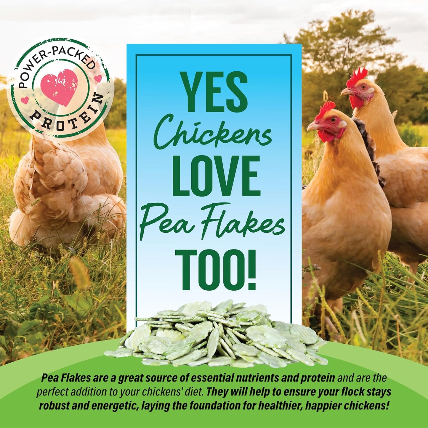 Small Pet Select - Pea Flakes, Treats for Rabbit Bunny, Guinea Pig, Chickens, Bunny, Hamster, and Other Small Pets, 8 oz