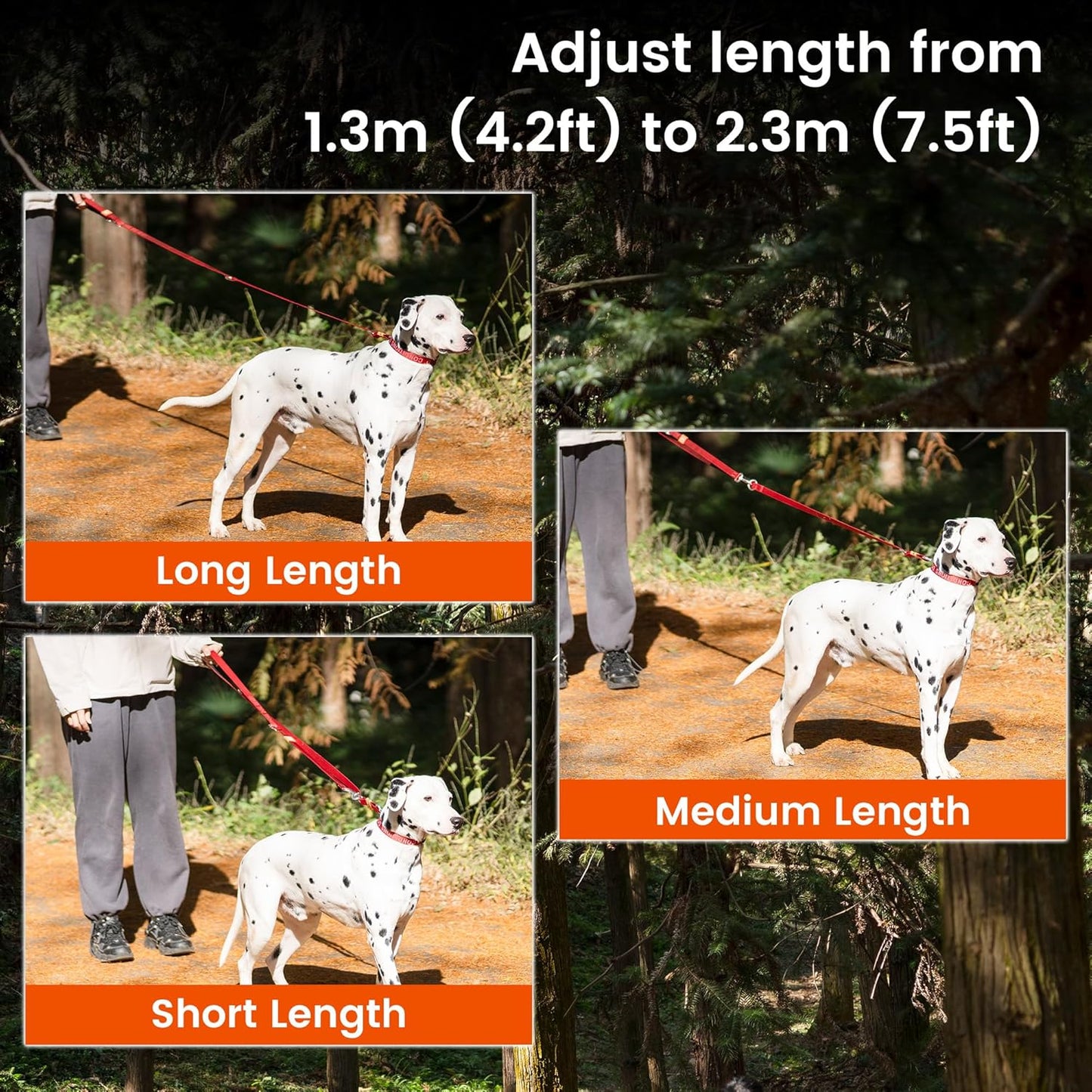 HOWGO 8-in-1 Multifunctional Hands Free Dog Training Leash with Padded Handle, 8.5 FT Nylon Adjustable Length, Lightweight Aviation Aluminum, Crossbody Waist Leash for Puppy Medium Large Dogs (Green)