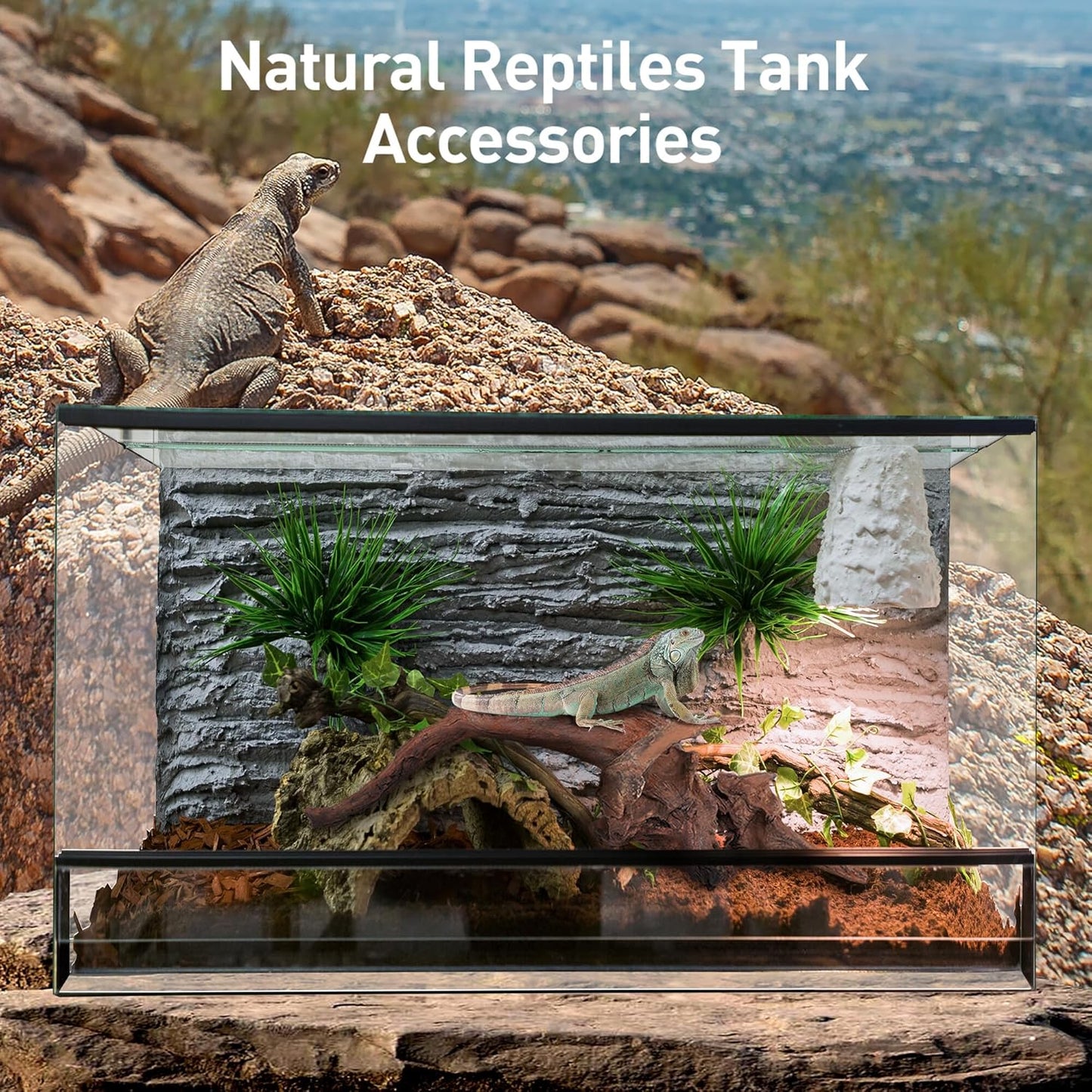 WDEFUN Natural Driftwood for Aquarium Decor, 10-Piece 2''-5'' Small Driftwood for Decorations on Fish Tank, Reptiles Bearded Dragon Accessories or Air Plants