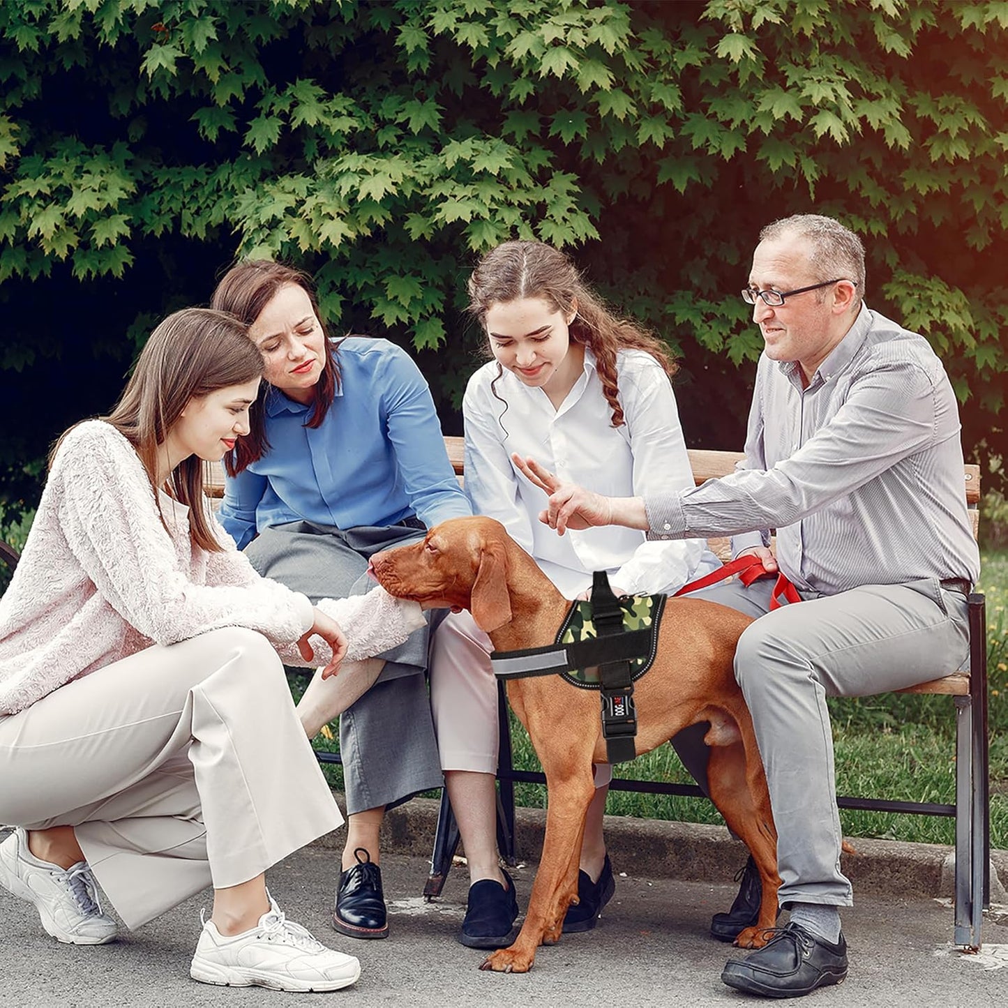 Dogline Dog Harness, Reflective No-Pull Adjustable Vest with Handle, Breathable No-Choke Harness for Small, Medium or Large Dogs Room for Patches Girth 27 to 34 in Green Camo