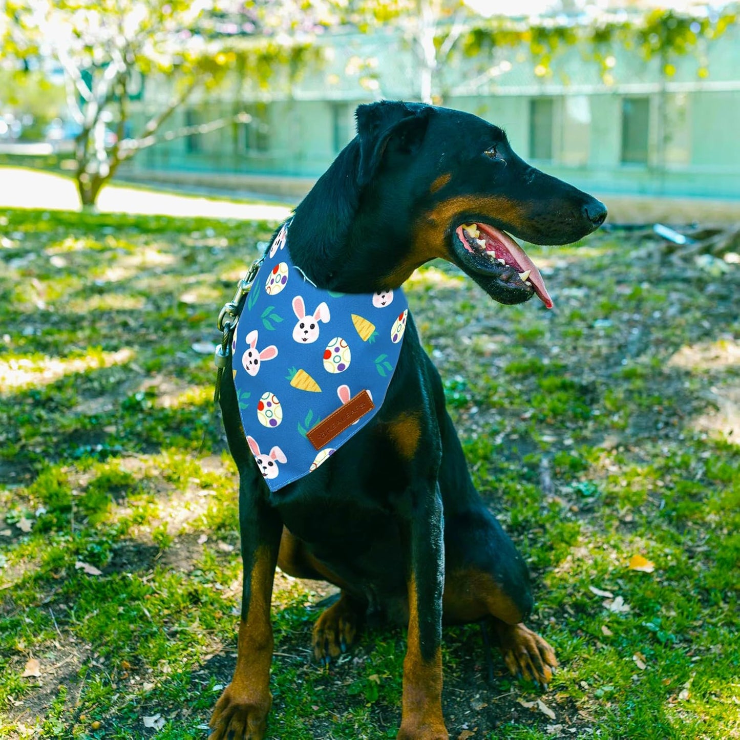 Realeaf Easter Dog Bandanas 2 Pack, Reversible Bunny Carrot and Easter Eggs Pet Scarf for Boy and Girl, Premium Durable Fabric, Holiday Bandana for Small Medium Large and Extra Large Dogs (Small)