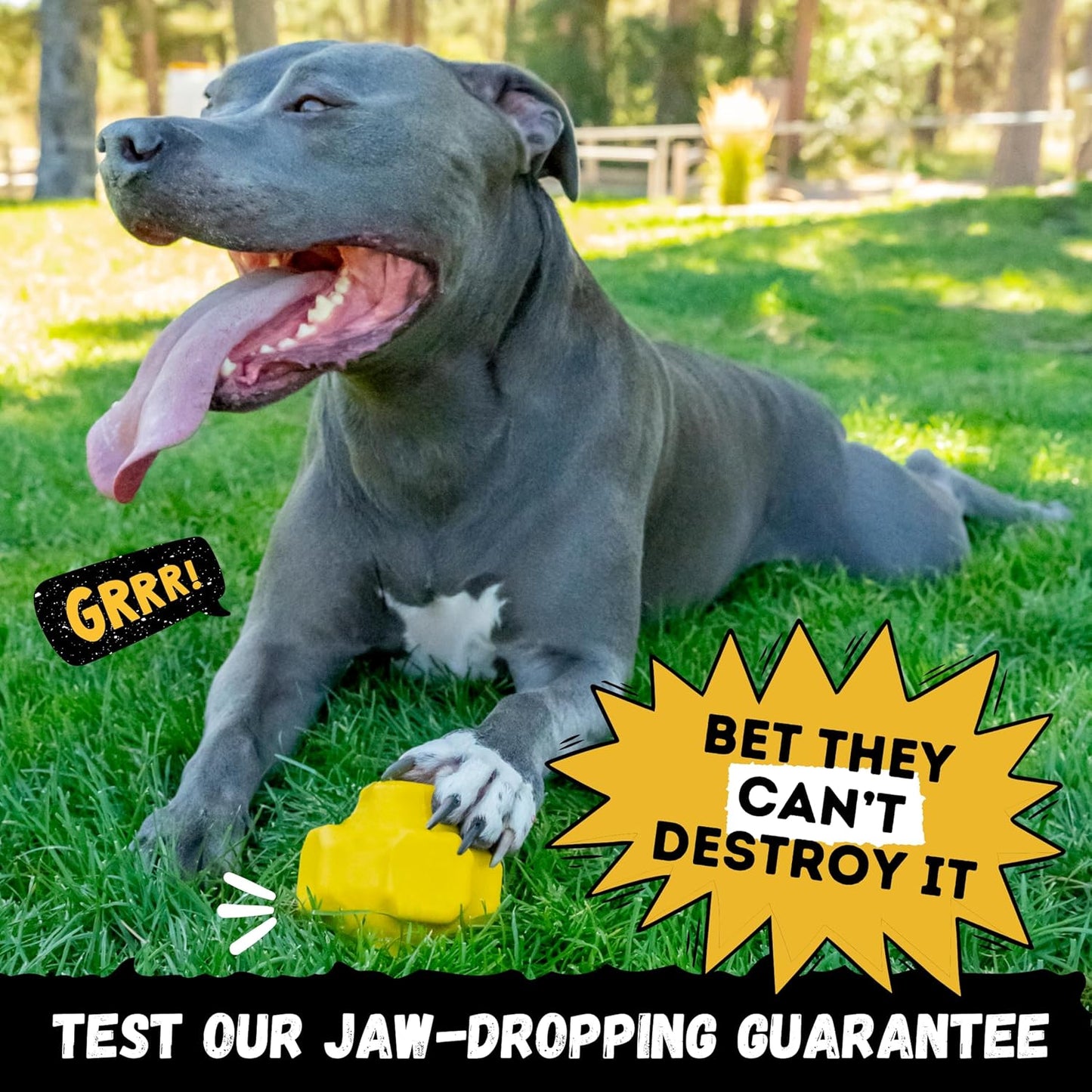Indestructible Jumping Jack Chew Toy - Lifetime Replacement - Durable Dog Toy for Aggressive Chewers - Safe, Non-Toxic Natural Rubber - Interactive, Chew & Fetch - Tough, Heavy Duty - 4.5”