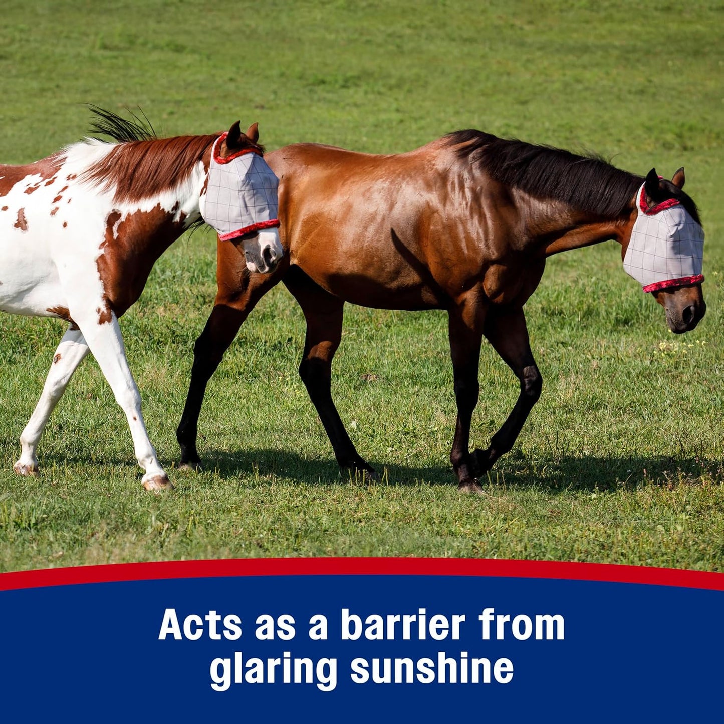 Farnam SuperMask II horse fly mask without ears, extended coverage, protects eyes from insects and debris, adjustable throat latch, Average Horse Size