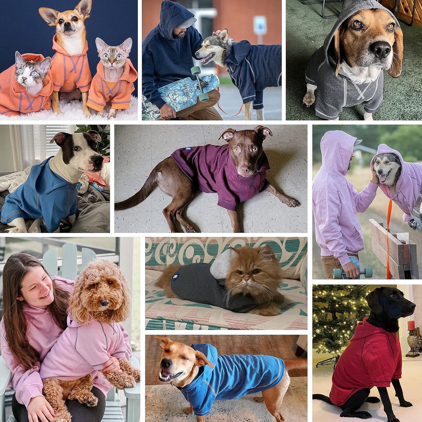 Blueberry Pet Dog Hoodie – 18″ Soft Cotton‑Blend Sweatshirt with Hood, Award‑Winning Small‑Dog Jacket, Machine‑Washable