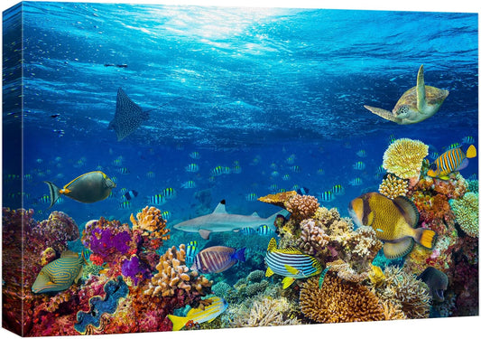 wall26 Canvas Print Wall Art Vibrant Sunshine Ray Coral Reef Turtle Fish Nature Animals Photography Realism Rustic Scenic Landscape Wilderness Colorful for Living Room, Bedroom, Office - 16"x24"