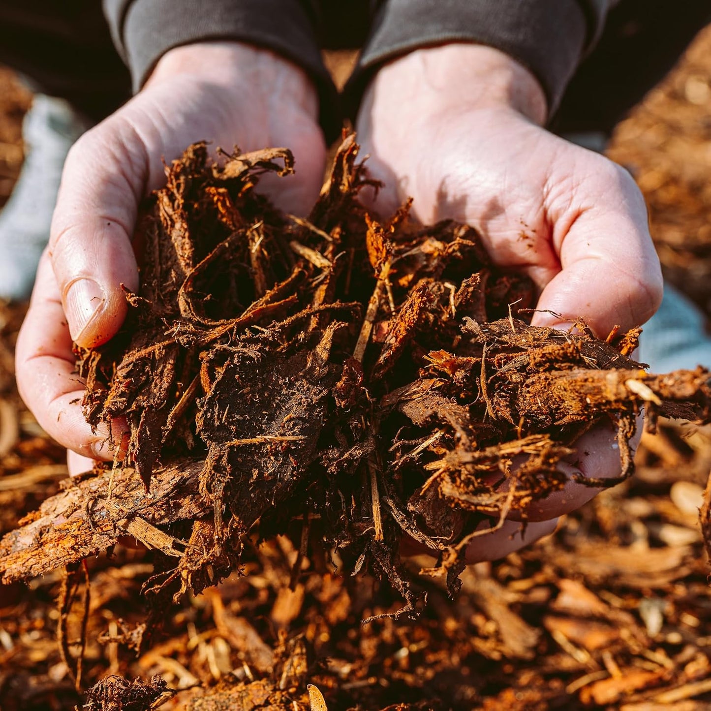 Premium Gold Wood Mulch for Landscaping, Gardens, Lawns, Potting Media, and Potted Plants (1 CF - 28 L - 30 QTS)