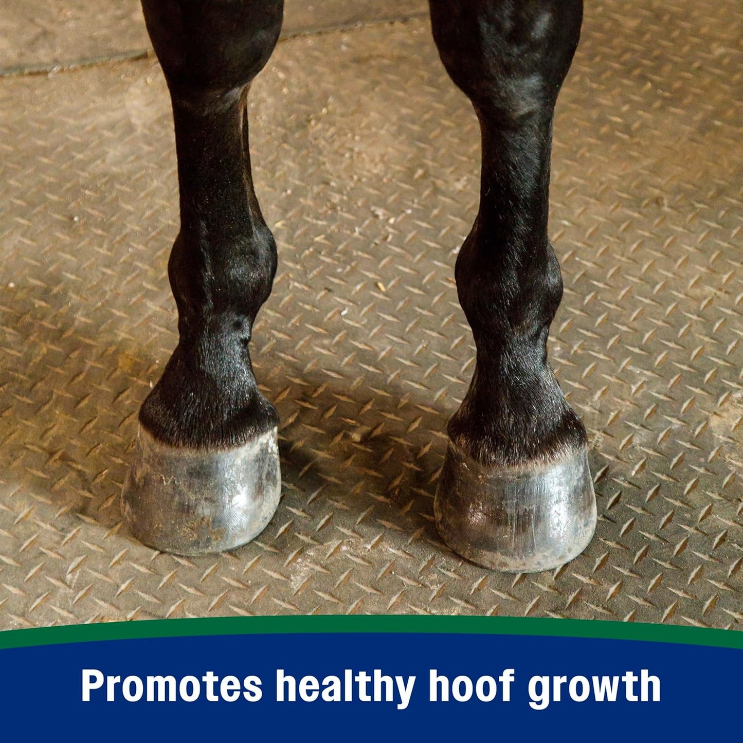 Farnam Horseshoer's Secret Pelleted Hoof Supplement for horses promotes healthy hoof growth, 22 lb., 60 day supply