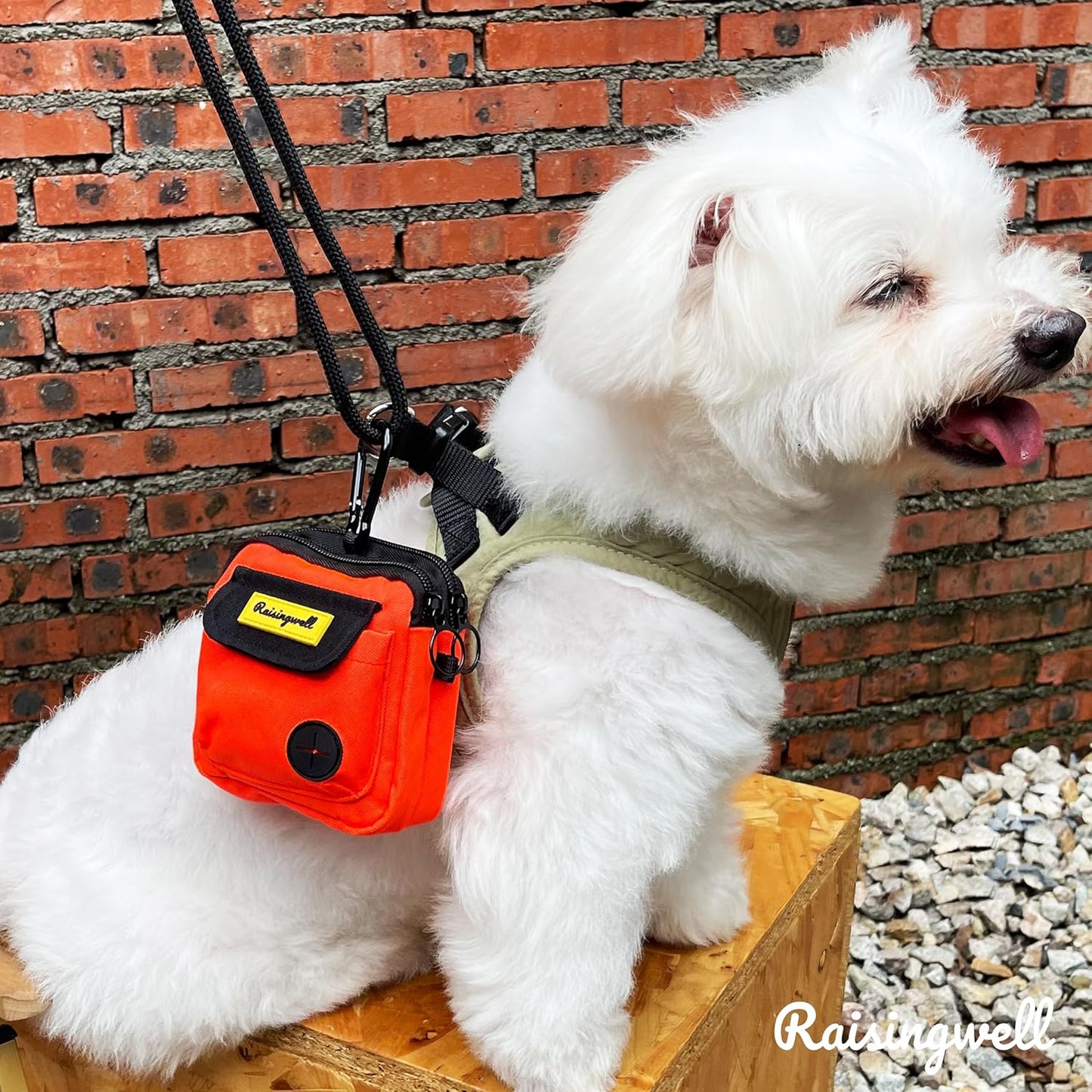 Dog Treat Pouch for Pet Walking and Training with Clicker, Poop Bags and Three Bags Design Small Fanny Zipper Pack Holder for Puppy Snack Dispenser Kit for Leash and Outdoor Use (Blue)