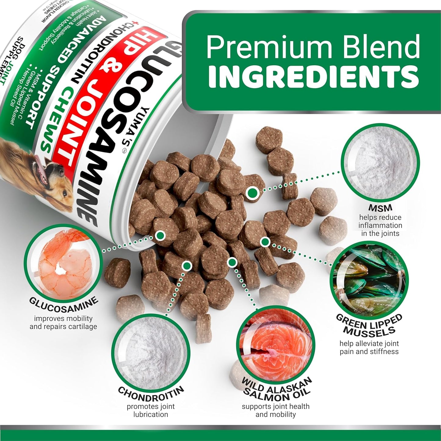 YUMA'S Glucosamine for Dogs - Hip and Joint Supplement for Dogs - 170 Ct - Glucosamine Chondroitin Chews - Joint Pain Relief Supplement with MSM - Advanced Health - Mobility Support - Made in USA