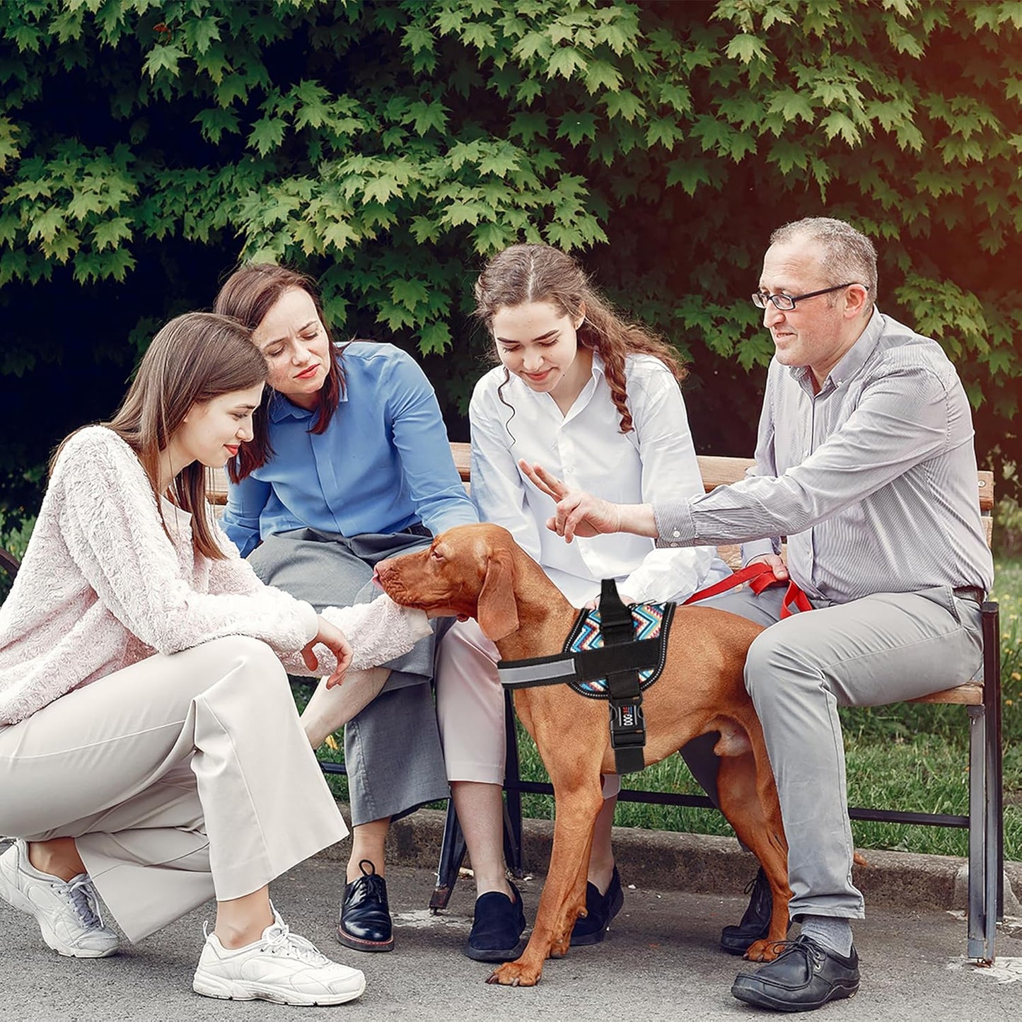 Dogline Dog Harness, Reflective No-Pull Adjustable Vest with Handle for Walking, Training, Breathable, No - Choke Harness for Small, Medium or Large Dogs Room for Patches Aztec Design 2 L 27"-34"