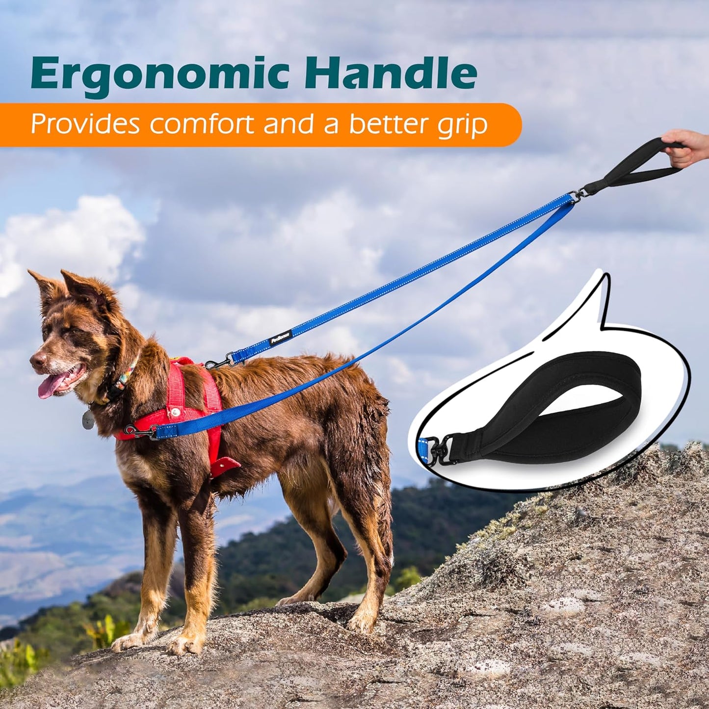 PetBonus Two Point Control Dog Leash, Works with No Pull Harnesses, No Tangle Dog Training Leashes, No Pull Padded and Reflective Walking Lead, Converts to Single Leash for Medium Large Dogs (Blue)