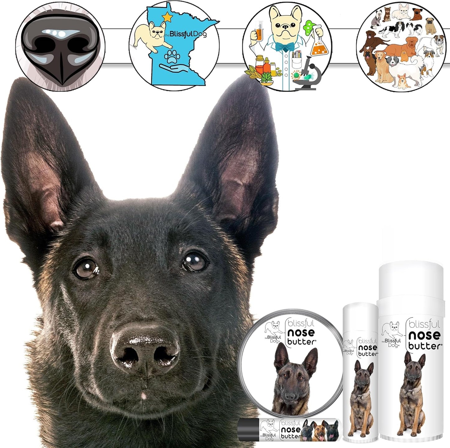The Blissful Dog Belgian Malinois Nose Butter for Dry, Cracked Skin, Lick-Safe Dog Nose Balm with Moisturizing Shea Butter, Almond, Olive, and Essential Oils, Pet Supplies, Uncented, 0.15 oz.