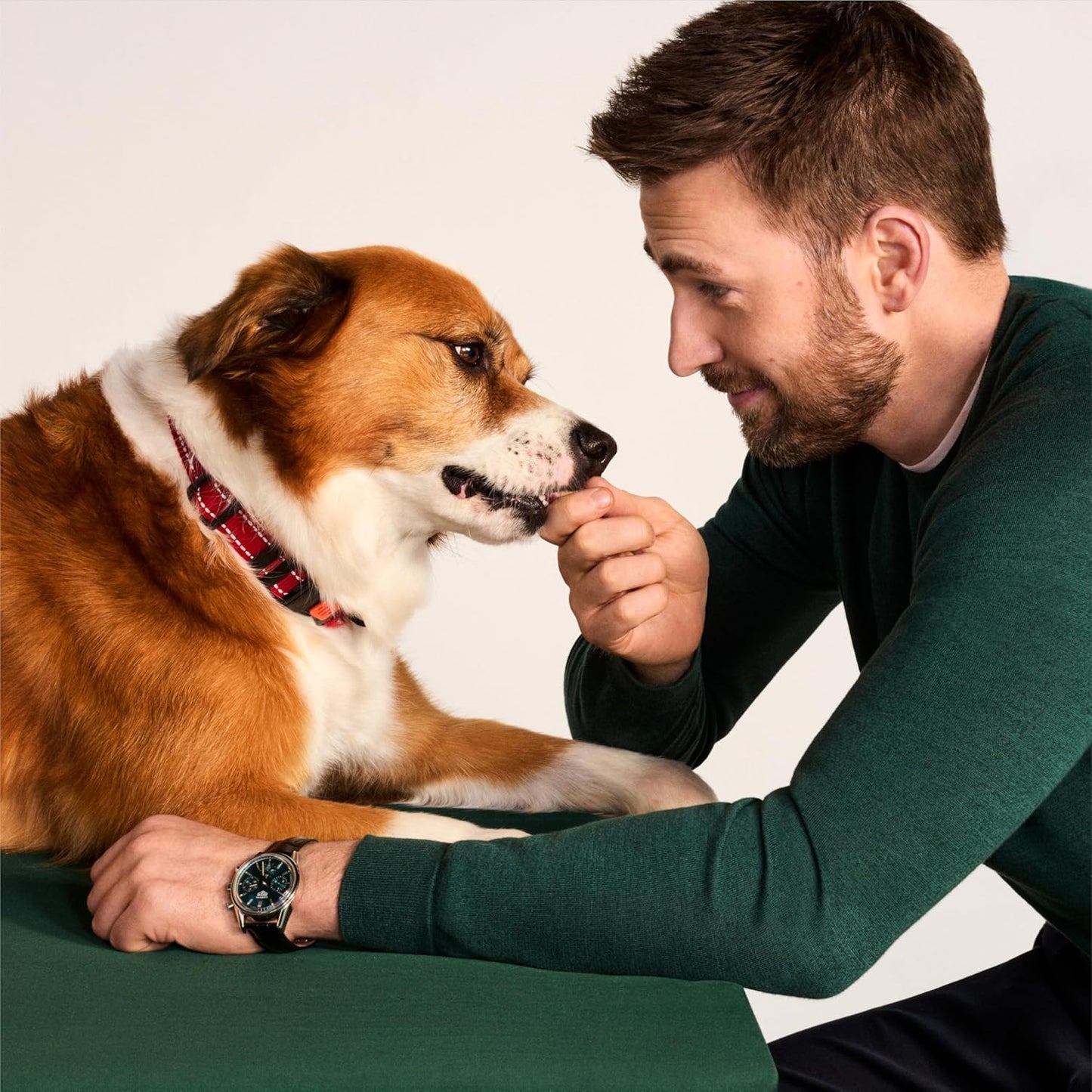 Jinx Beef Dog Training Treats - Healthy All-Natural Mini Bite-Sized Dog Treats for Training with Grass-Fed Beef - Pet Products for All Dogs (Puppies, Adults & Seniors) - 4oz