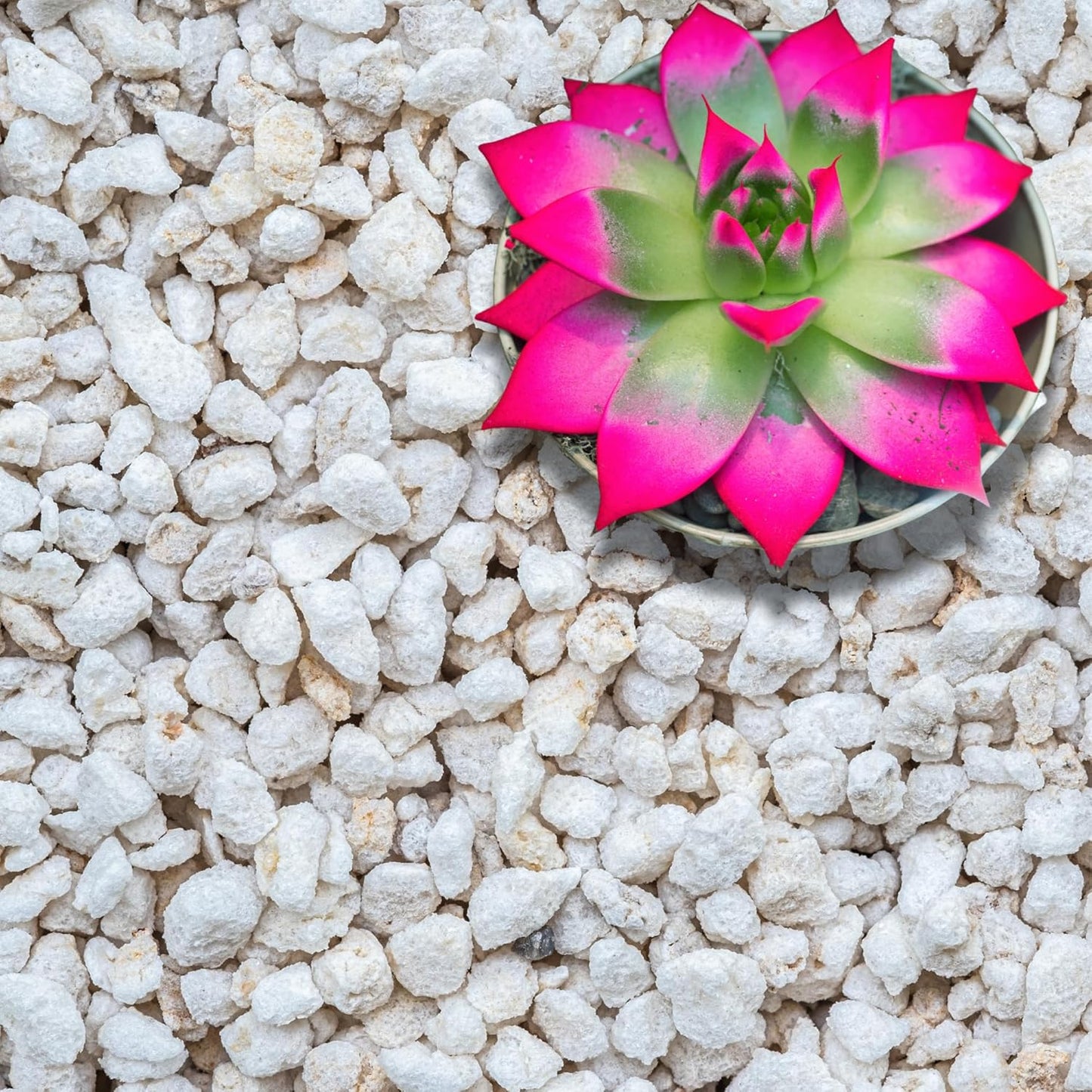 Perlite for Plants, Extra Coarse Grade 4 Horticultural Perlite, Organic Perlite for Gardening Indoor & Outdoor, 4 Cubic Feet, Made in USA (1 Quart)