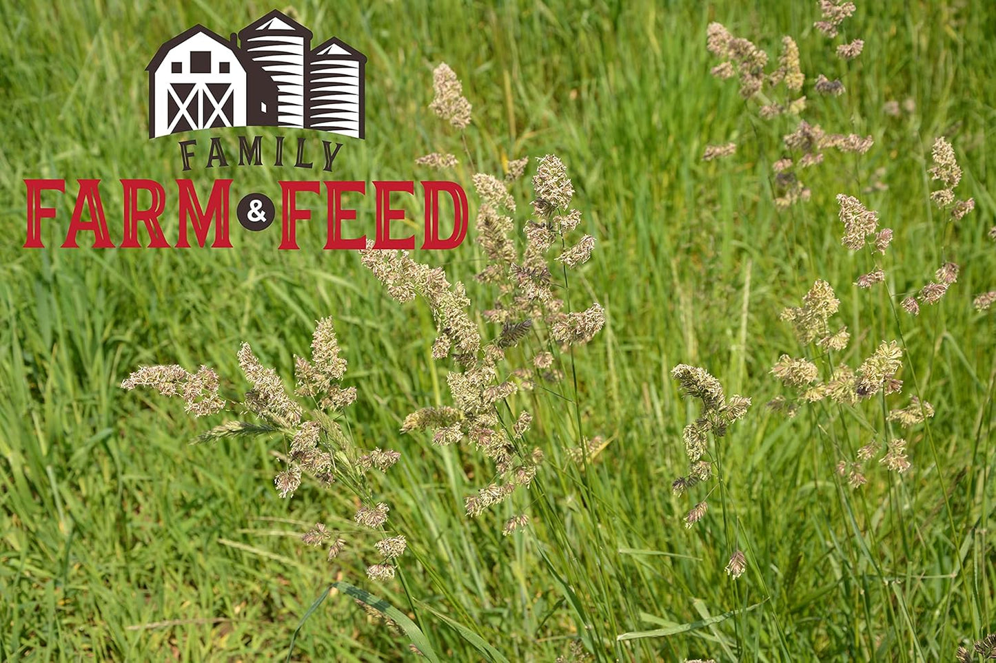 | Timothy Grass Food | Small Pet | Young and Adult | Pellets | 3 Pounds