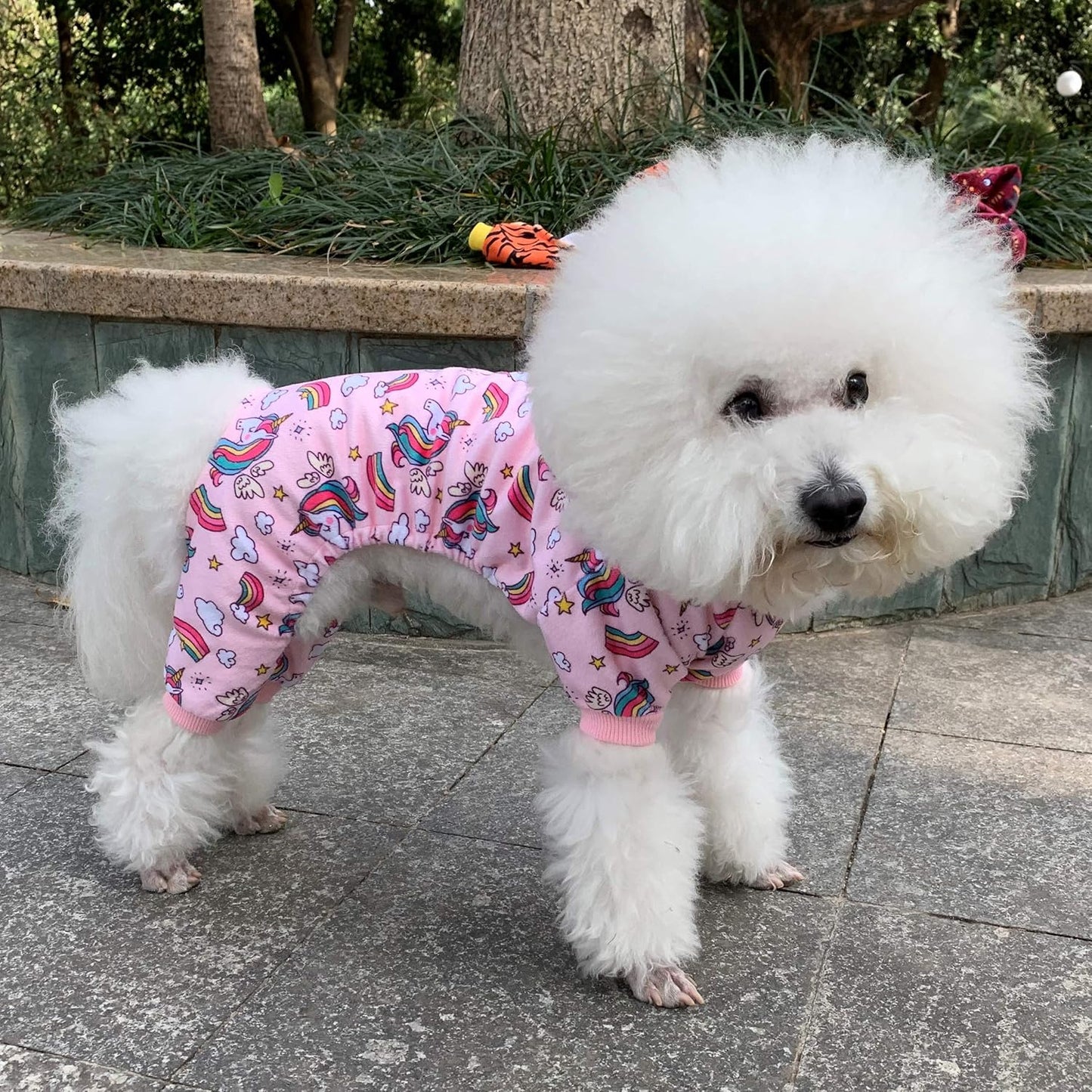 CuteBone Small Dogs Outfit Soft Puppy Onesies Pjs Dog Pajamas Pet Coat Cat Apparel Comfy Doggie Jumpsuit Bodysuit for All Seasons P67M