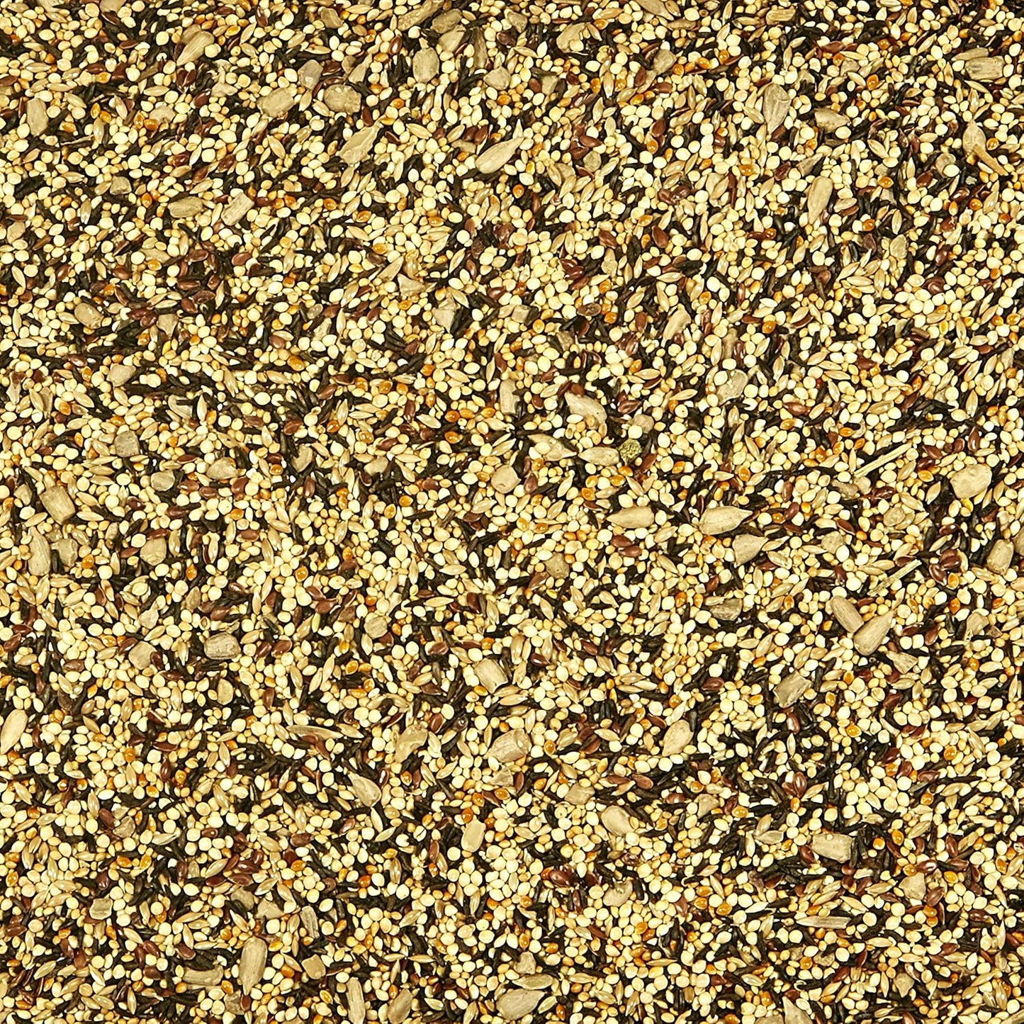 Kaytee Wild Bird Finch Food Blend, 5 lb (Pack of 2)