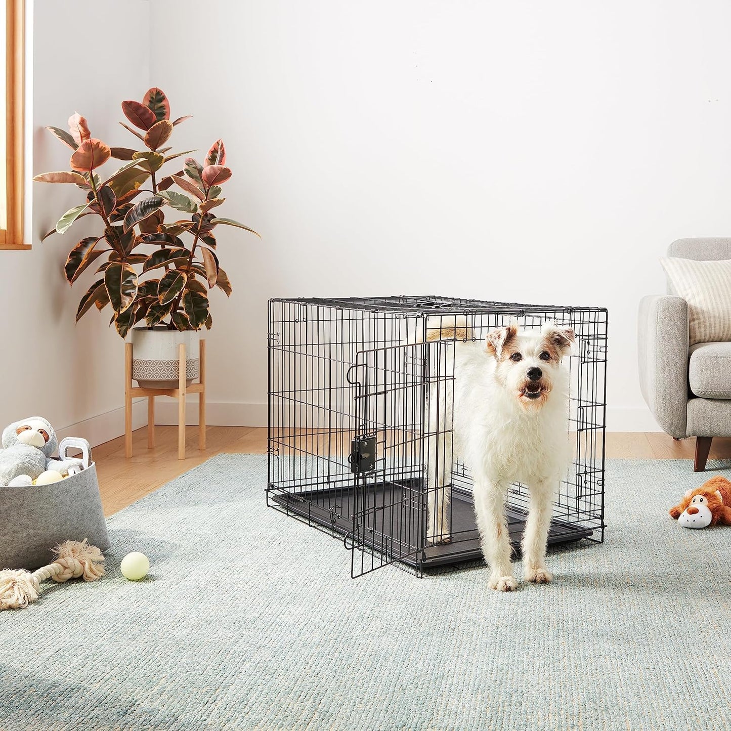 Amazon Basics Durable, Foldable Metal Wire Dog Crate with Tray, Double Door, 36 x 23 x 25 in, Black